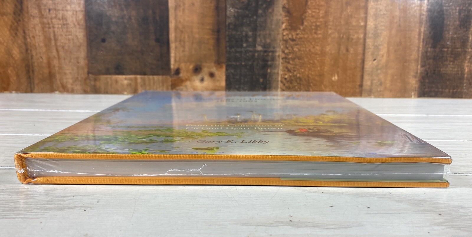 REFLECTIONS : Paintings of Florida 1865-1965 by Gary R. Libby NEW SEALED Art HC