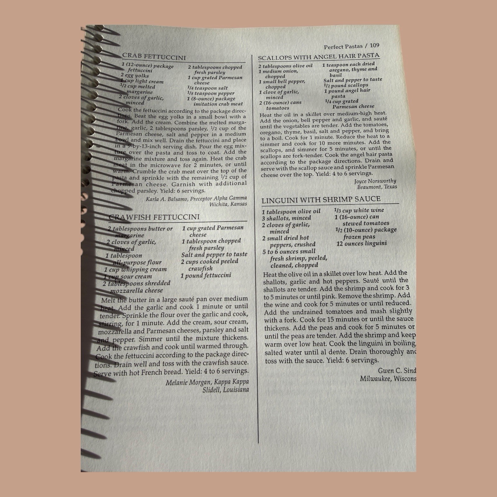 ✨VTG 1997 Beta Sigma Phi Fast Feasts Cookbook Spiral Bound 221 Pages✨