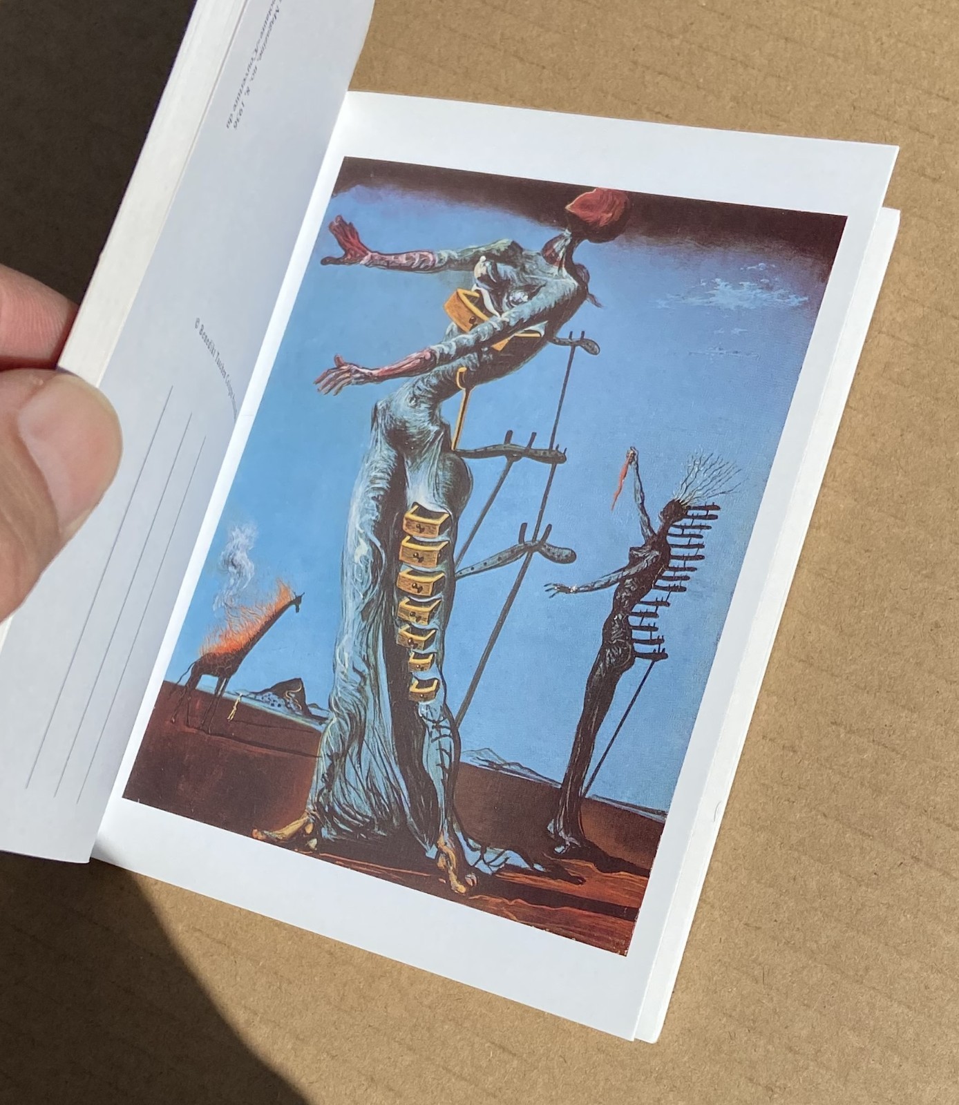 SALVADOR DALI 30 Postcards Postcard Booklet Book