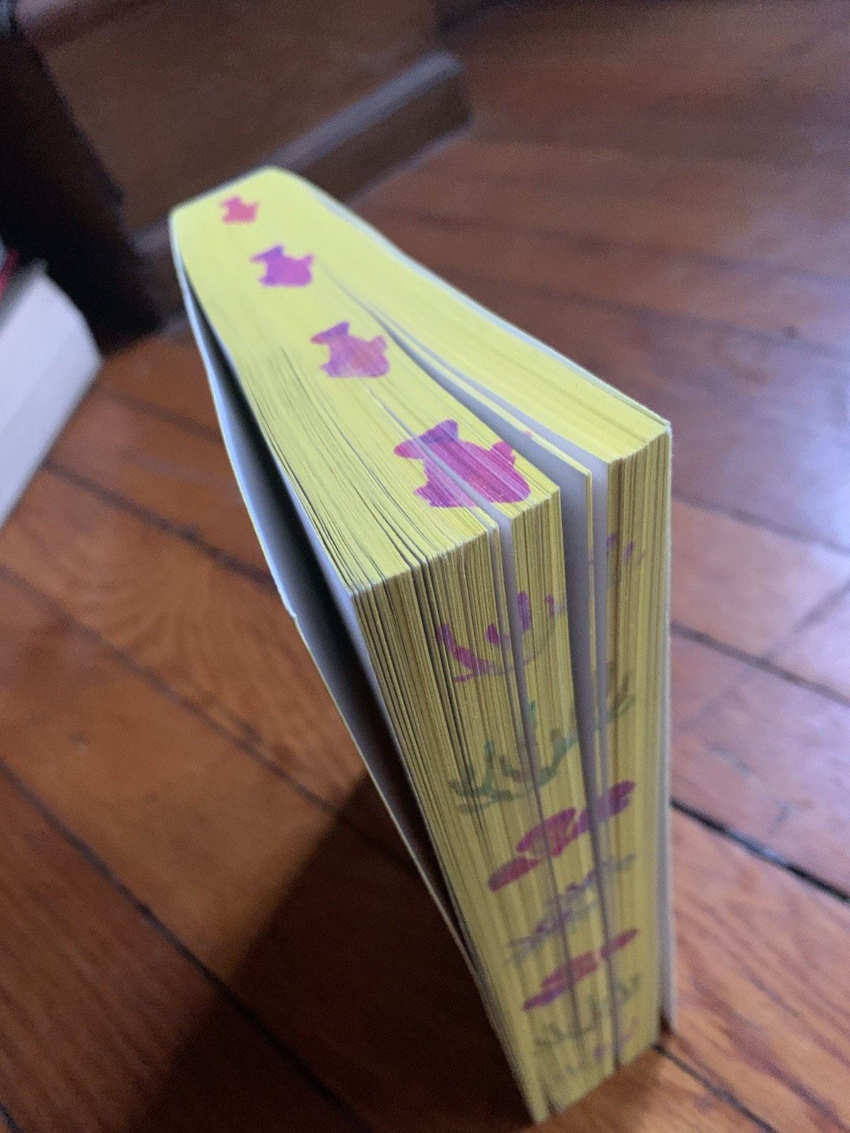 Remarkably Bright Creatures : A Novel by Shelby Van Pelt (2022, pb, stencilled)