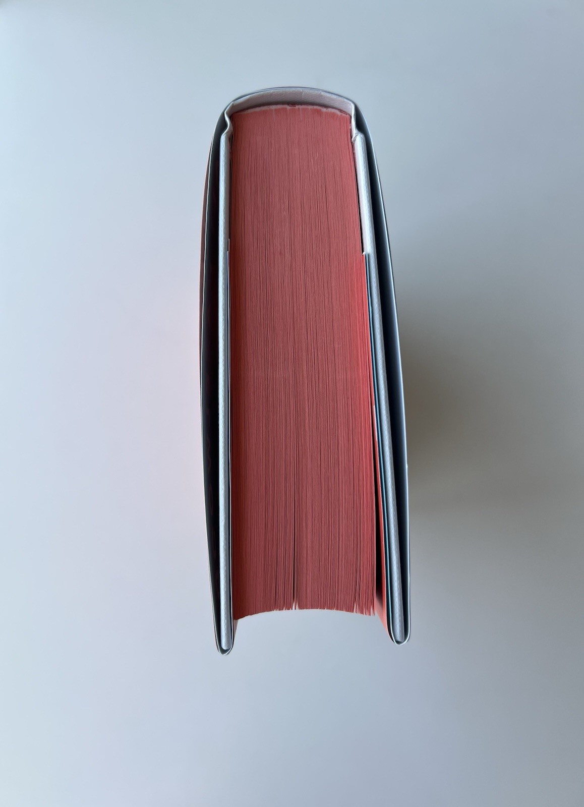 Illumicrate – Problematic Summer Romance by Ali Hazelwood