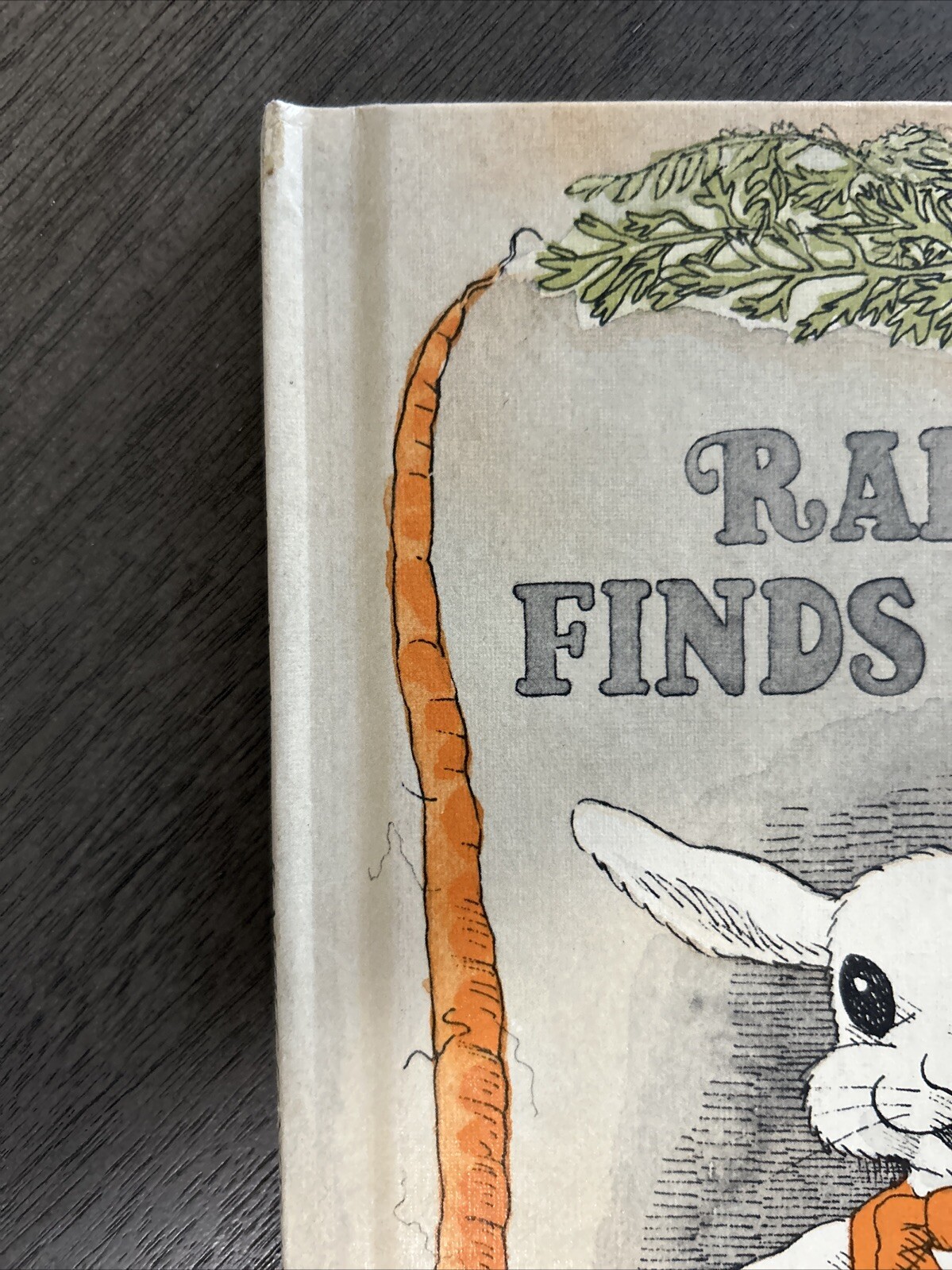 Rabbit Finds a Way by Judy Delton (1975, Hardcover)