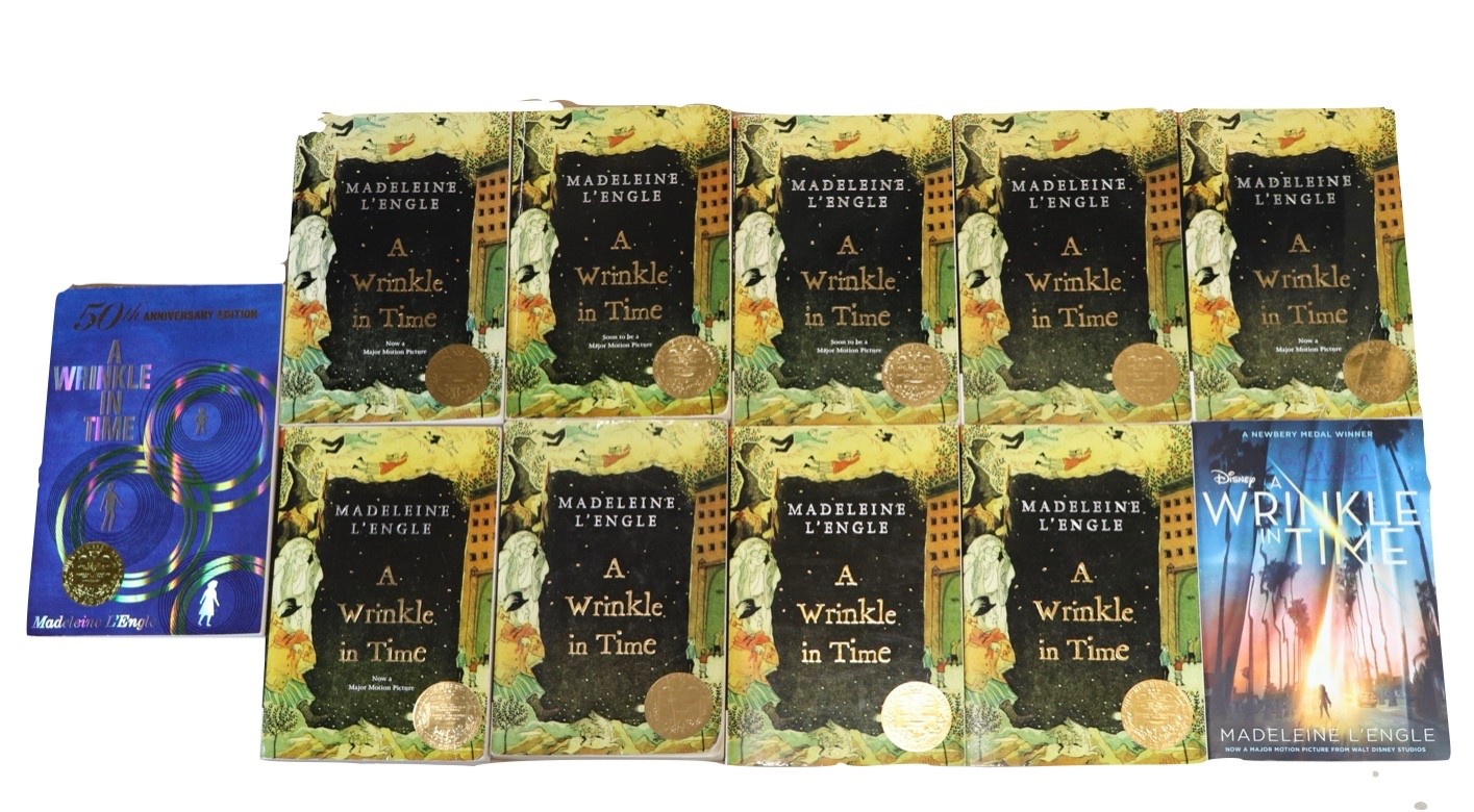 Lot of 11 A Wrinkle In Time by Madeleine L’Engle GUIDED READING Teachers Set