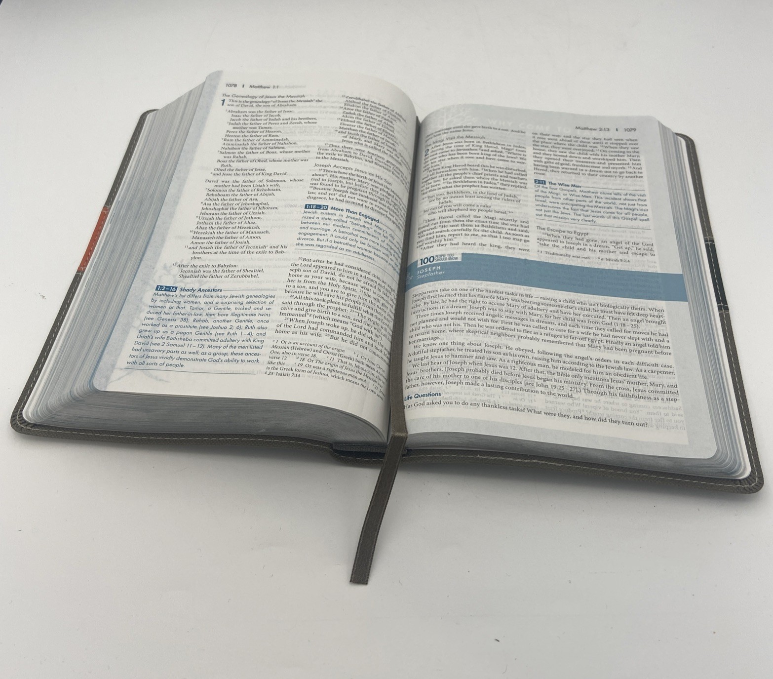 NIV, Student Bible, Compact, Leathersoft, Gray/Green Lay Flat Design