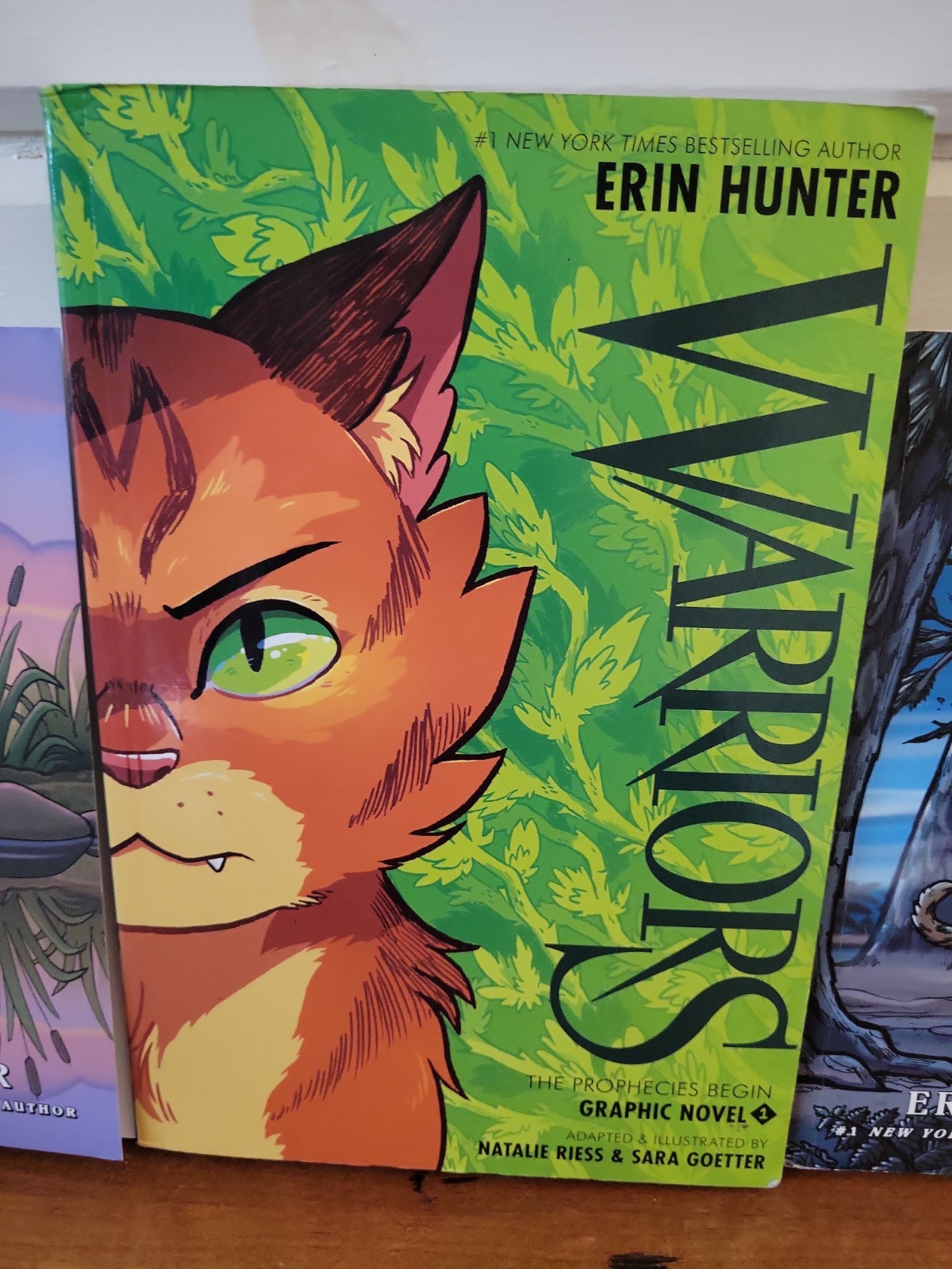 Lot of 4 WARRIORS BY ERIN HUNTER Graphic Novels