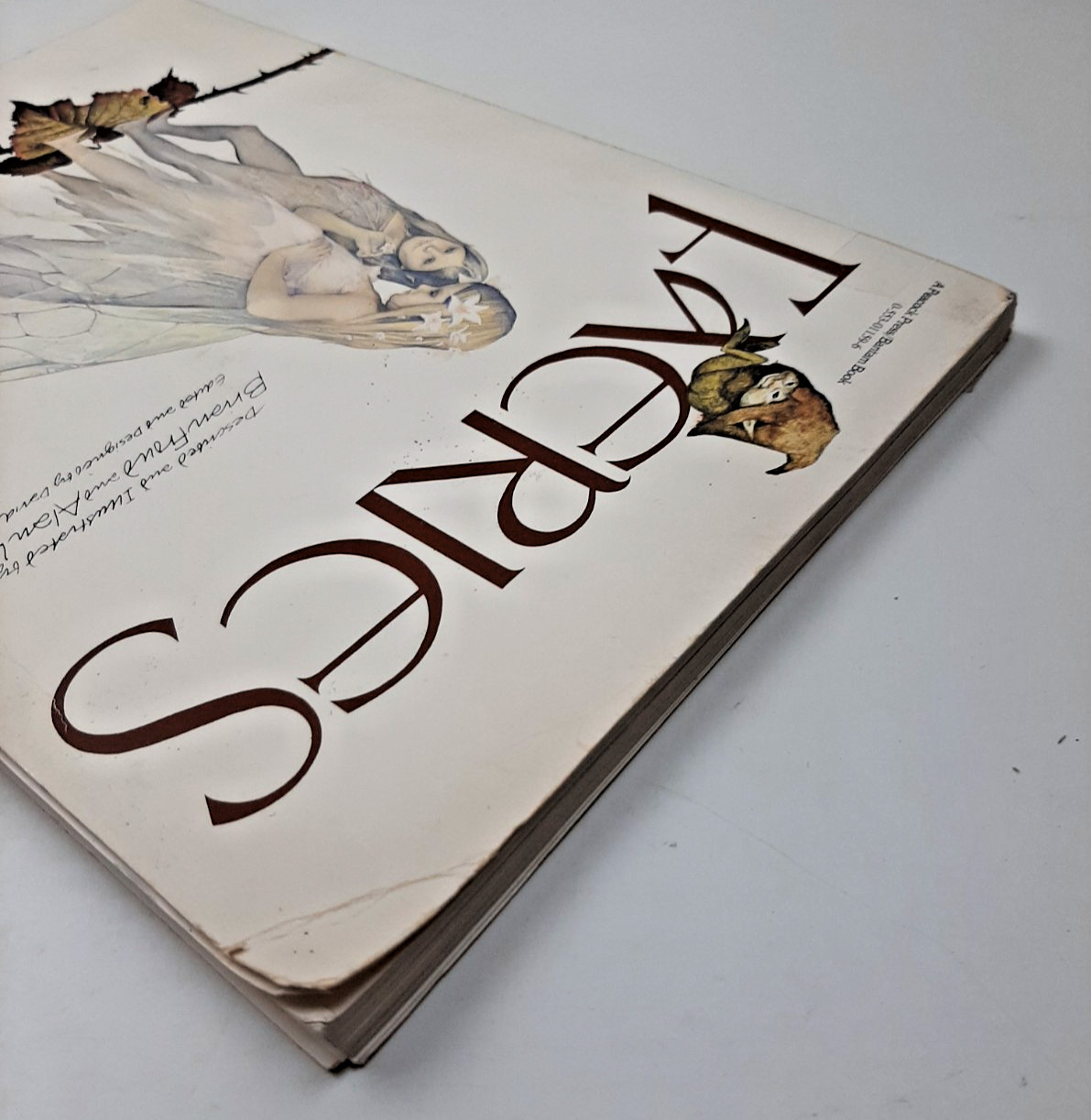 Vintage Faeries Book 1978 First Edition Printing Brian Froud Mythical Fairy Art