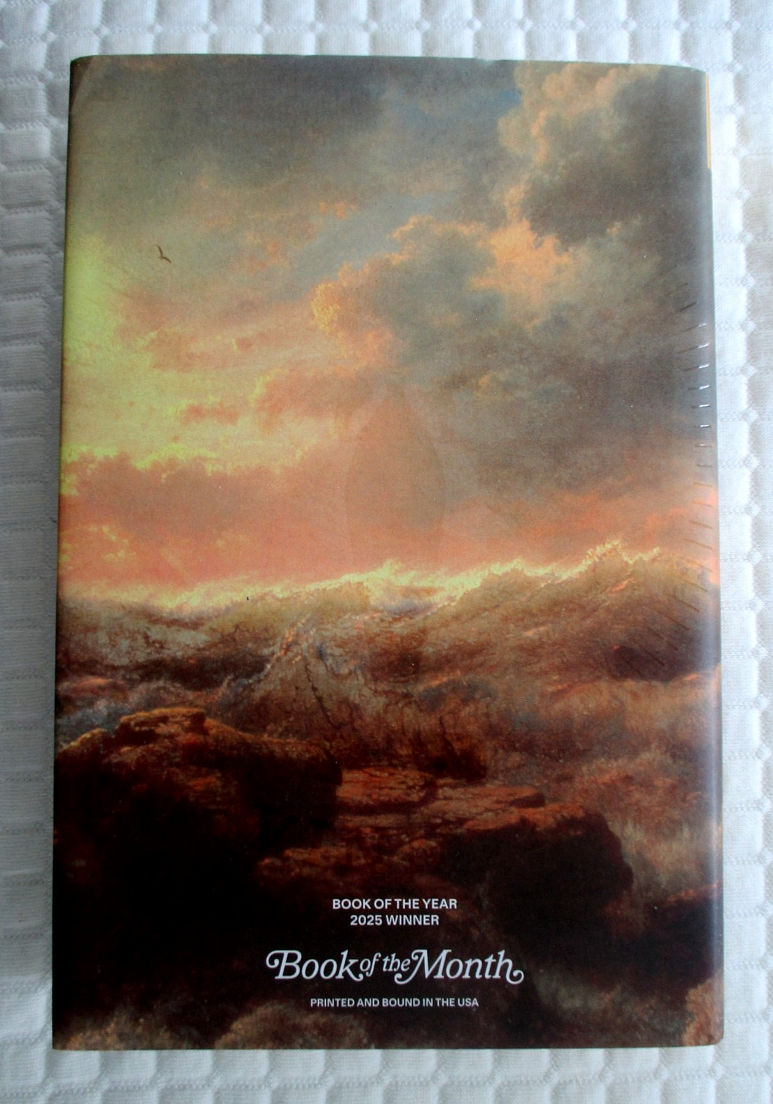 Wild Dark Shore : A Novel by Charlotte McConaghy (2025, Hardcover) BOTM Edition