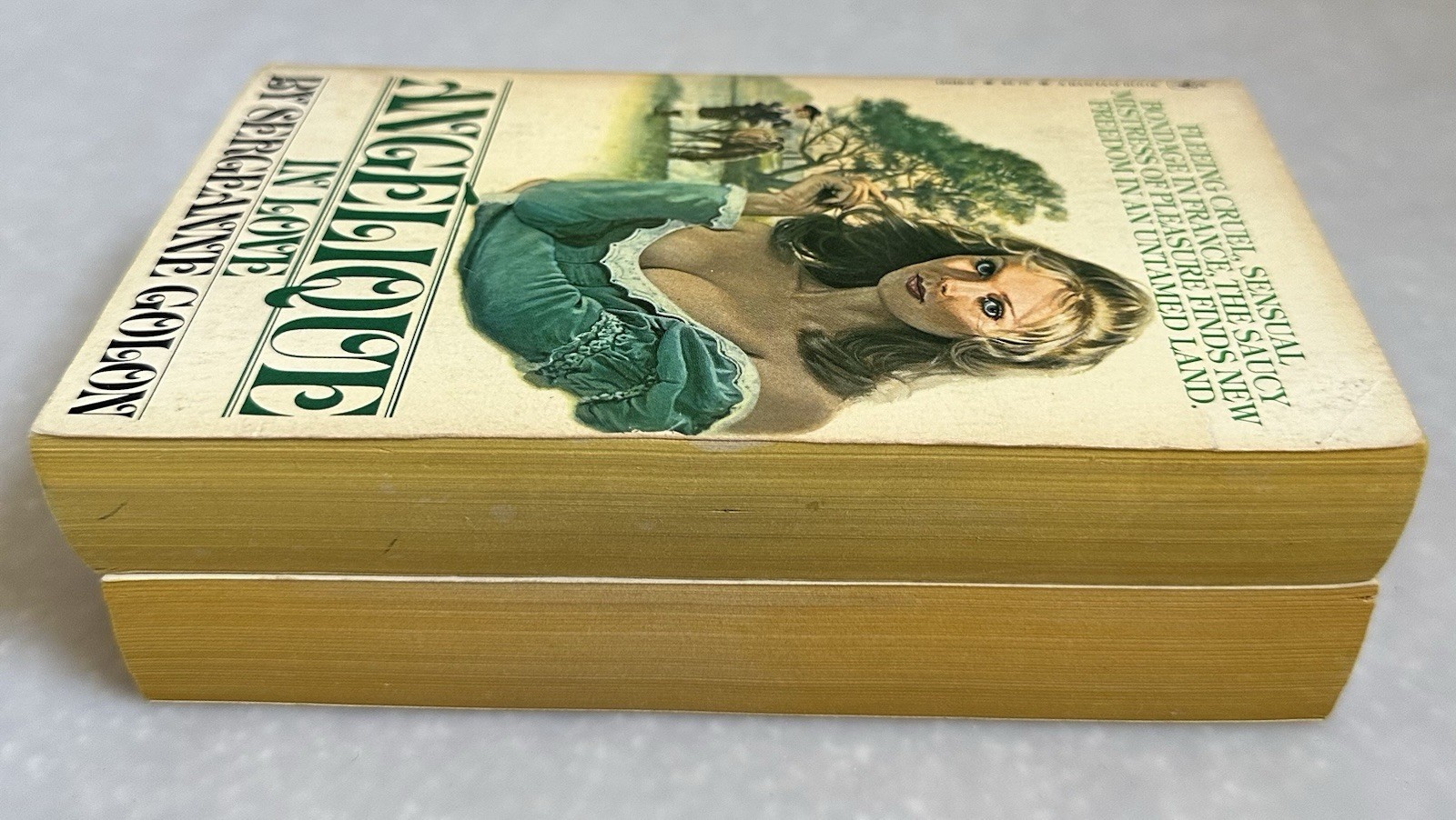 Angelique: In Love/And The King By Sergeanne Golon Vintage 1980s Romance PB