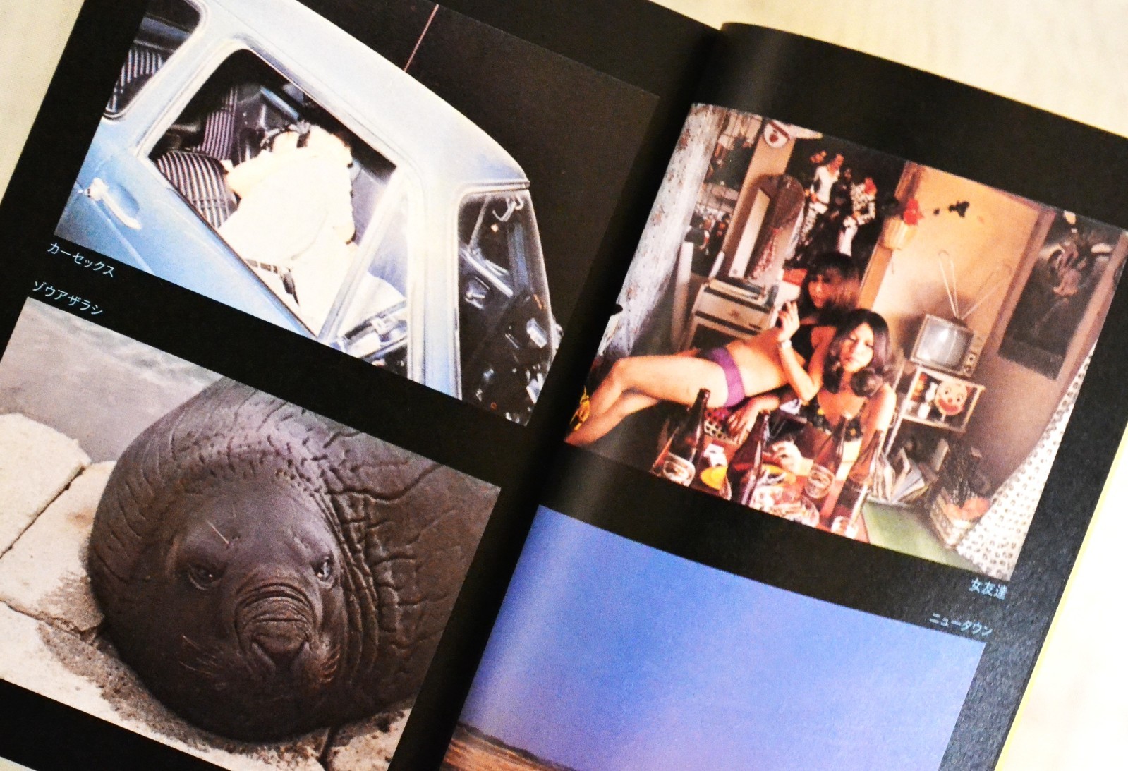 Nobuyoshi Arak Journey to Photography Essay and Art Mini Book 15.2×10.5cm P209