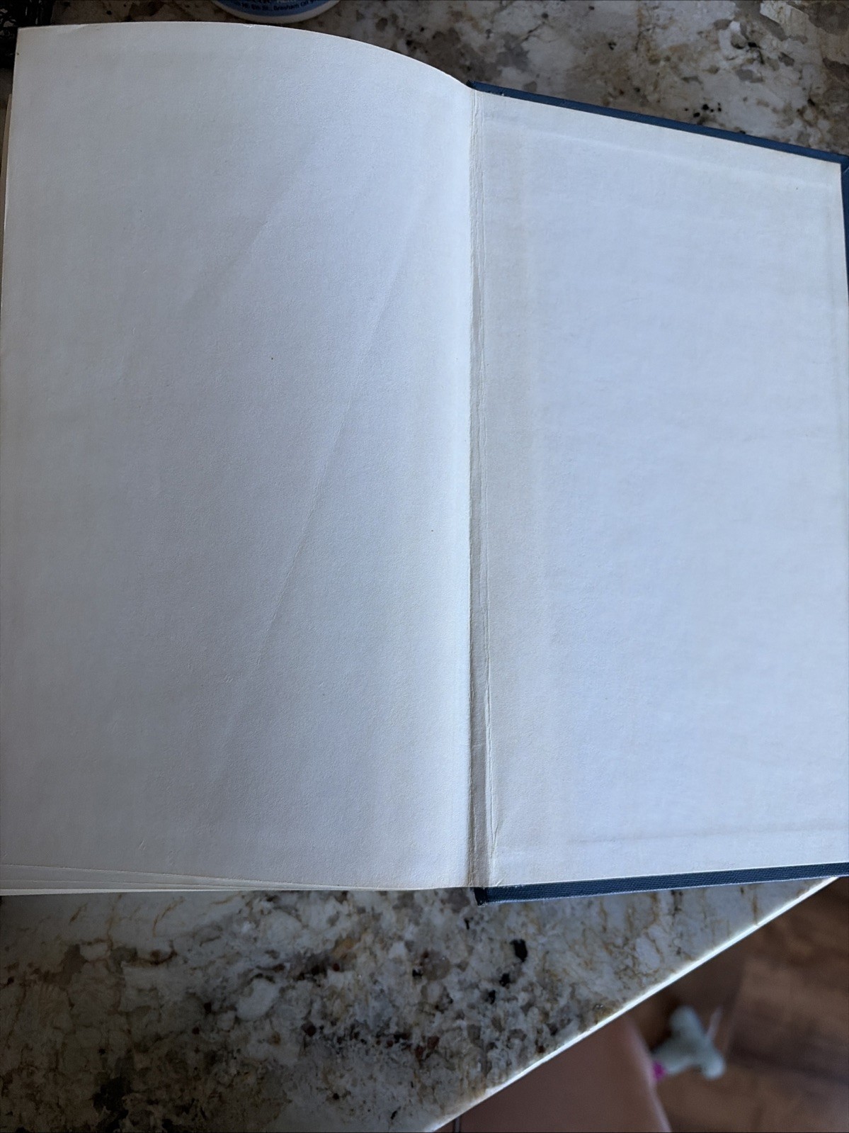 Vine’s Expository Dictionary of Old and New Testament Words W.E. Vine Bible
