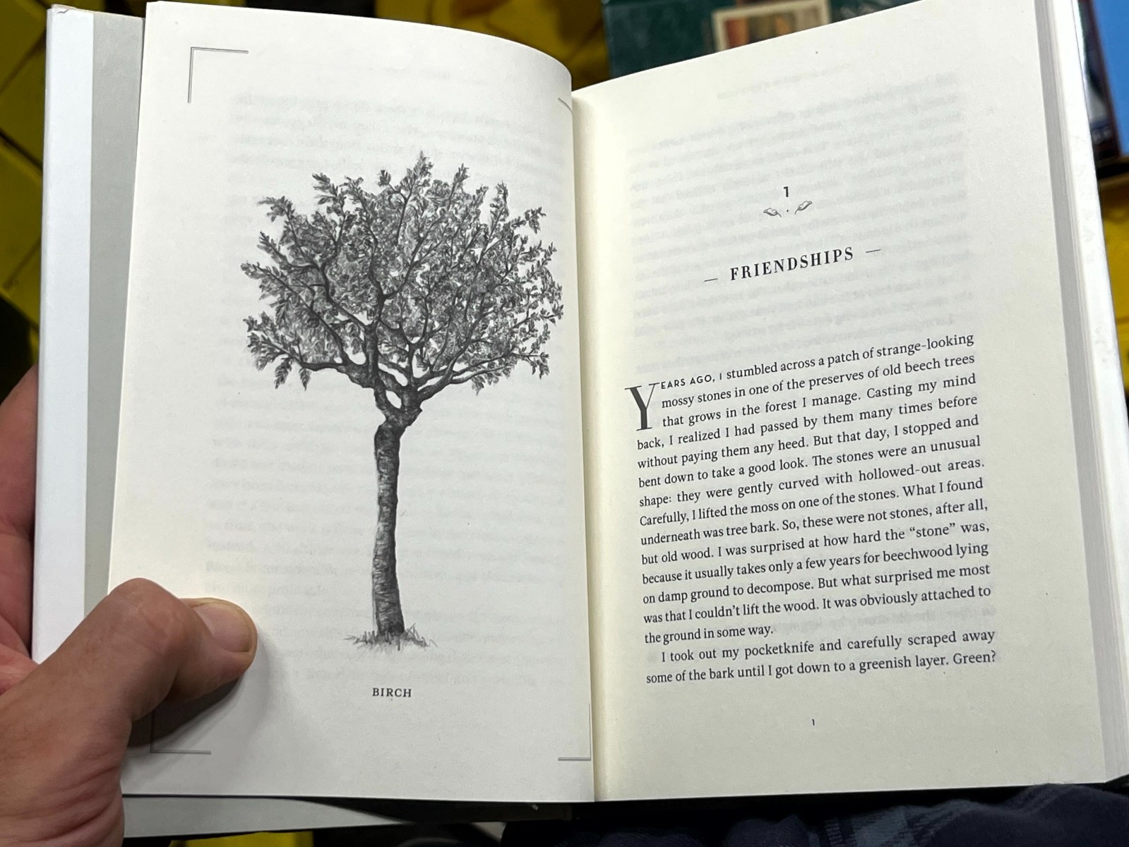 Hidden Life of Trees : What They Feel, How They Communicate- Peter Wohlleben