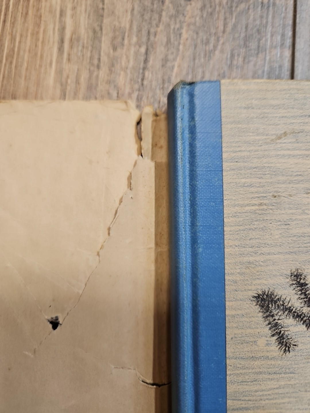 1935: First Edition Children Of The Northern Lights by Ingri & Edgar Parin