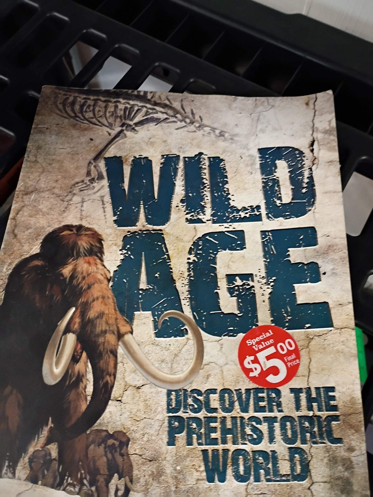Wild Age Discover The Prehistoric World Paperback 9×12 Inches Book