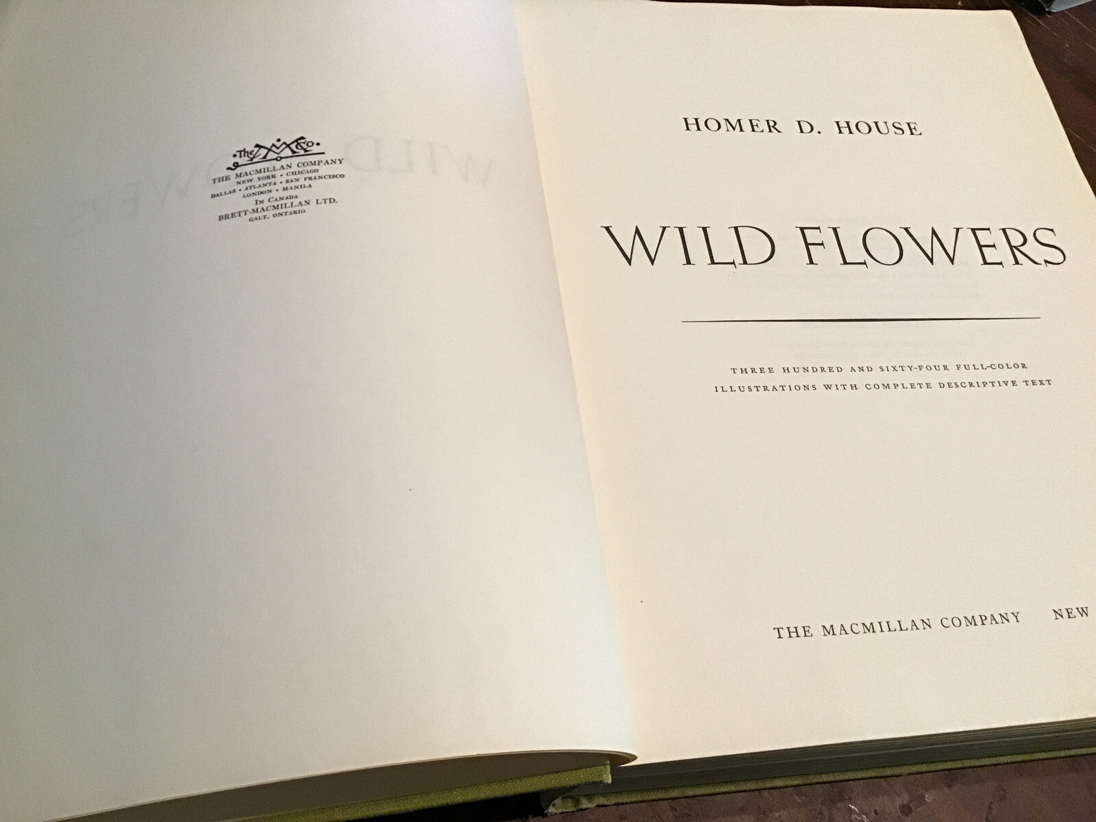 Homer D. House WILD FLOWERS (ill.) The Macmillan Company c. 1961 @D5