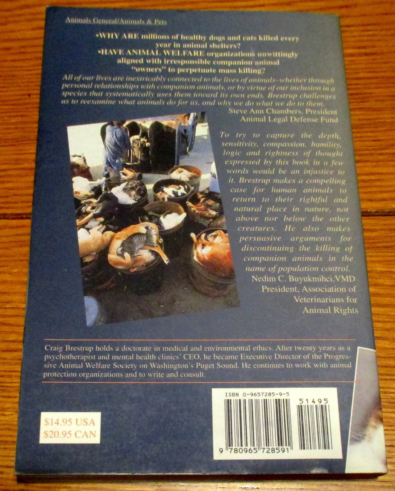 1997 Disposable Animals by Craig Brestrup SIGNED First Edition 208 Pages