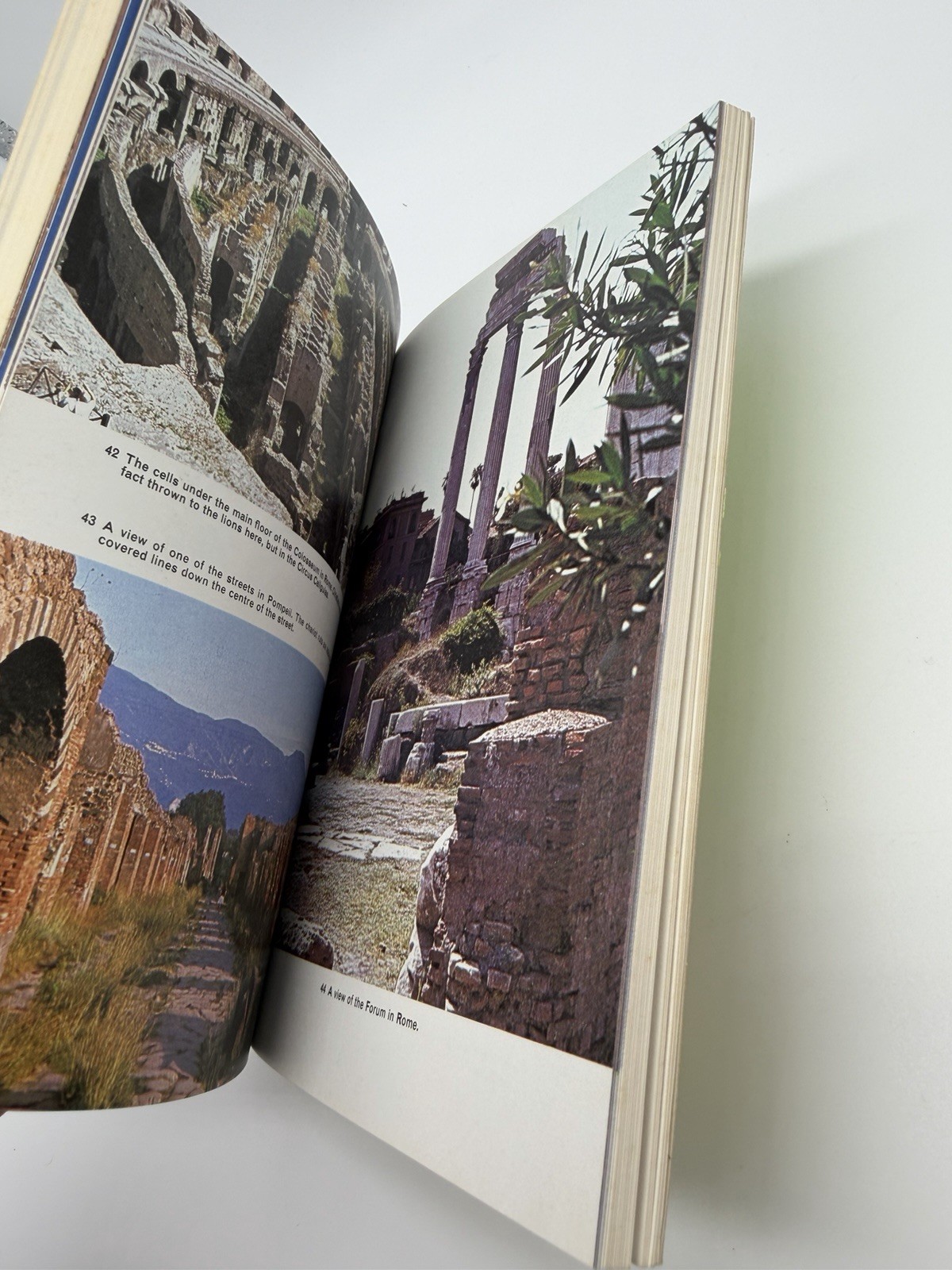 Michael Carter Archaeology Blandford Colour Series 1980 Hardcover w Photos Rare