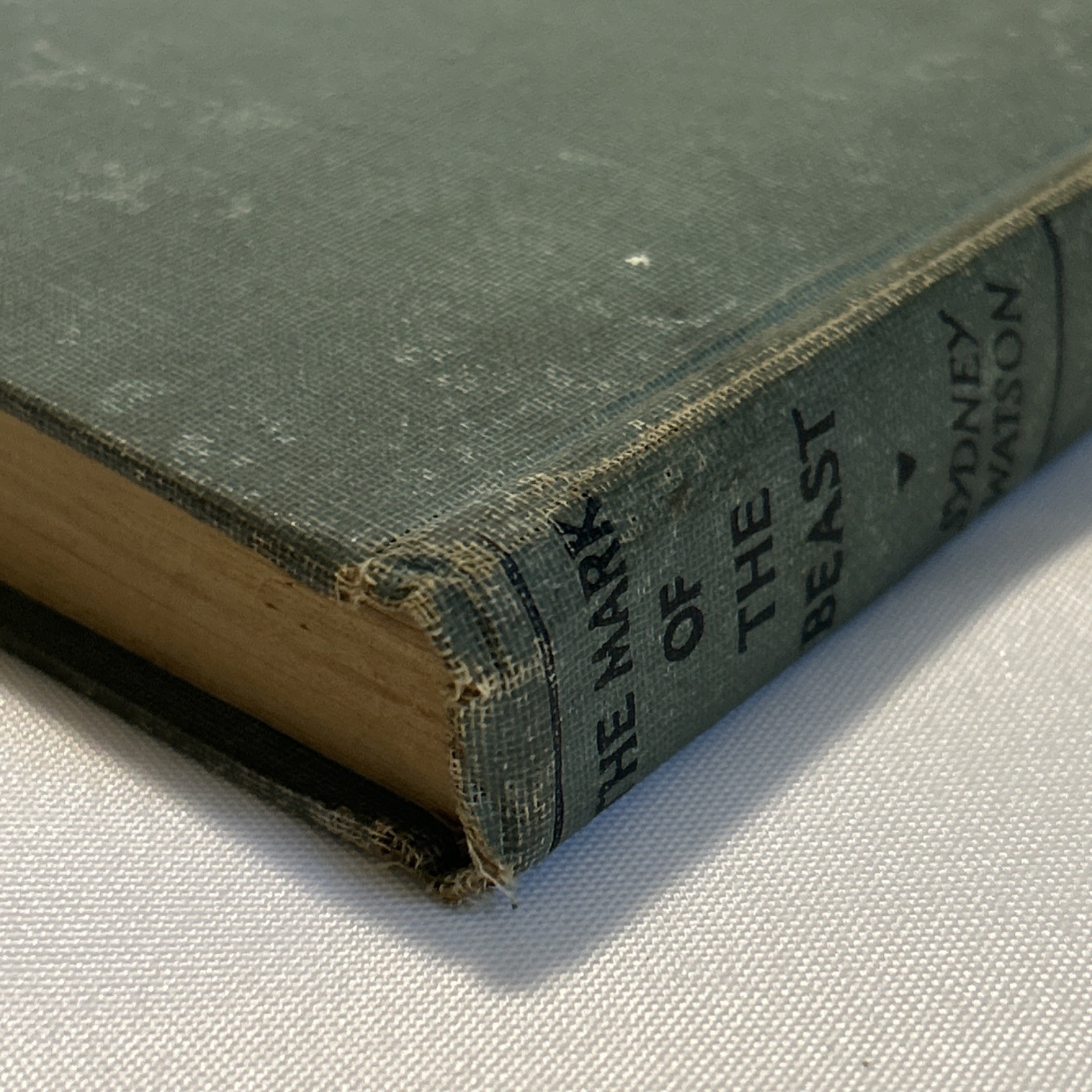 The Mark of the Beast (1933) ~ Sidney Watson ~ Hardcover