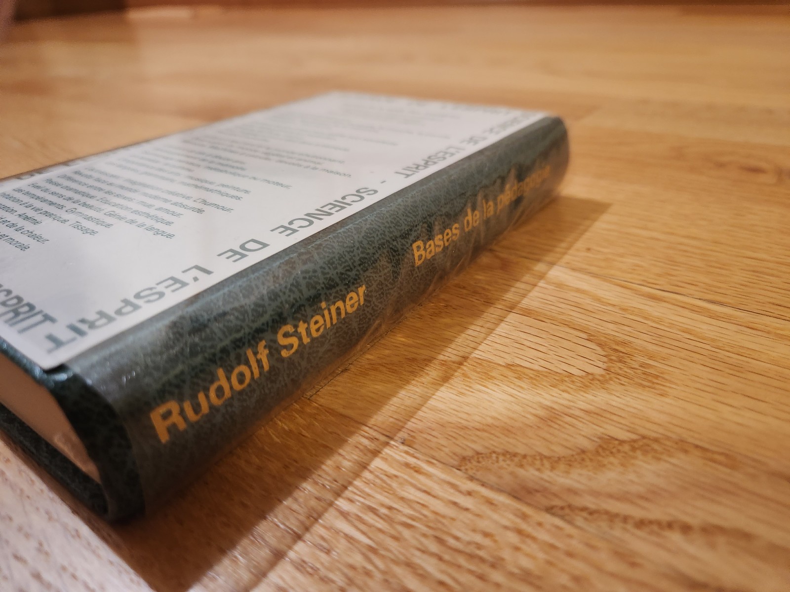 Bases de la Pédagogie (The Foundations of Pedagogy) Steiner 1988 Hardcover Rare