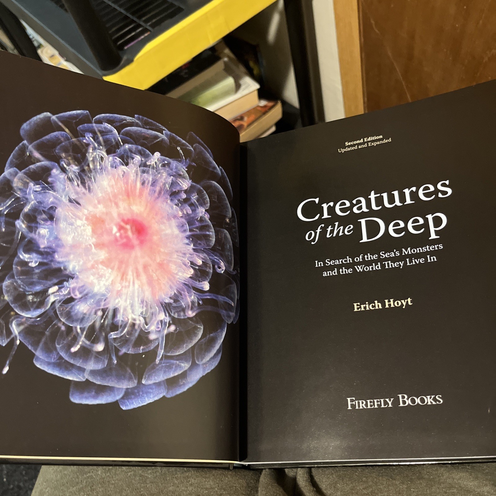 Creatures of the Deep Erich Hoyt Ocean Animals Science Book No DJ