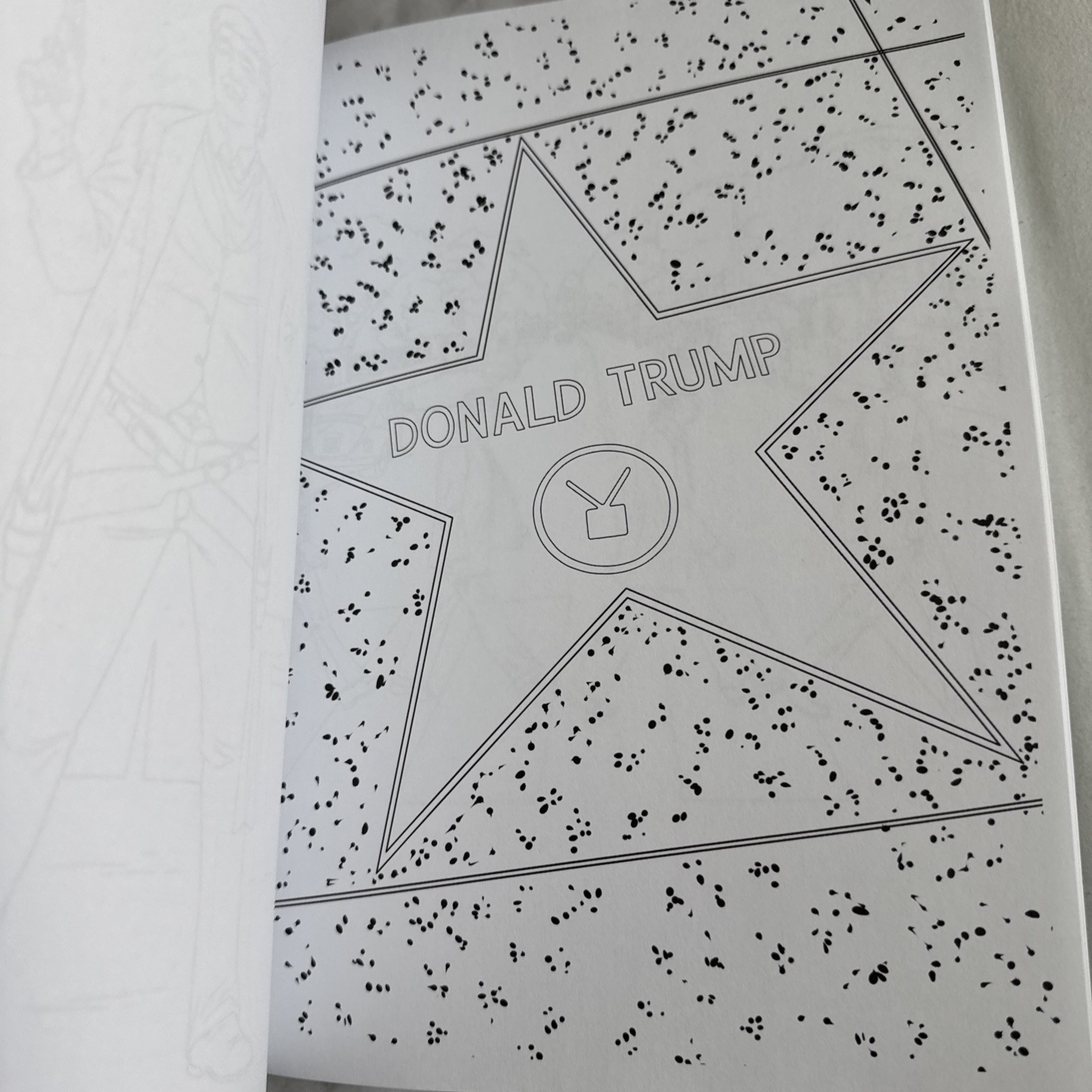 “THE TRUMP COLORING BOOK” by M.G. ANTHONY President Donald J POST HILL PRESS