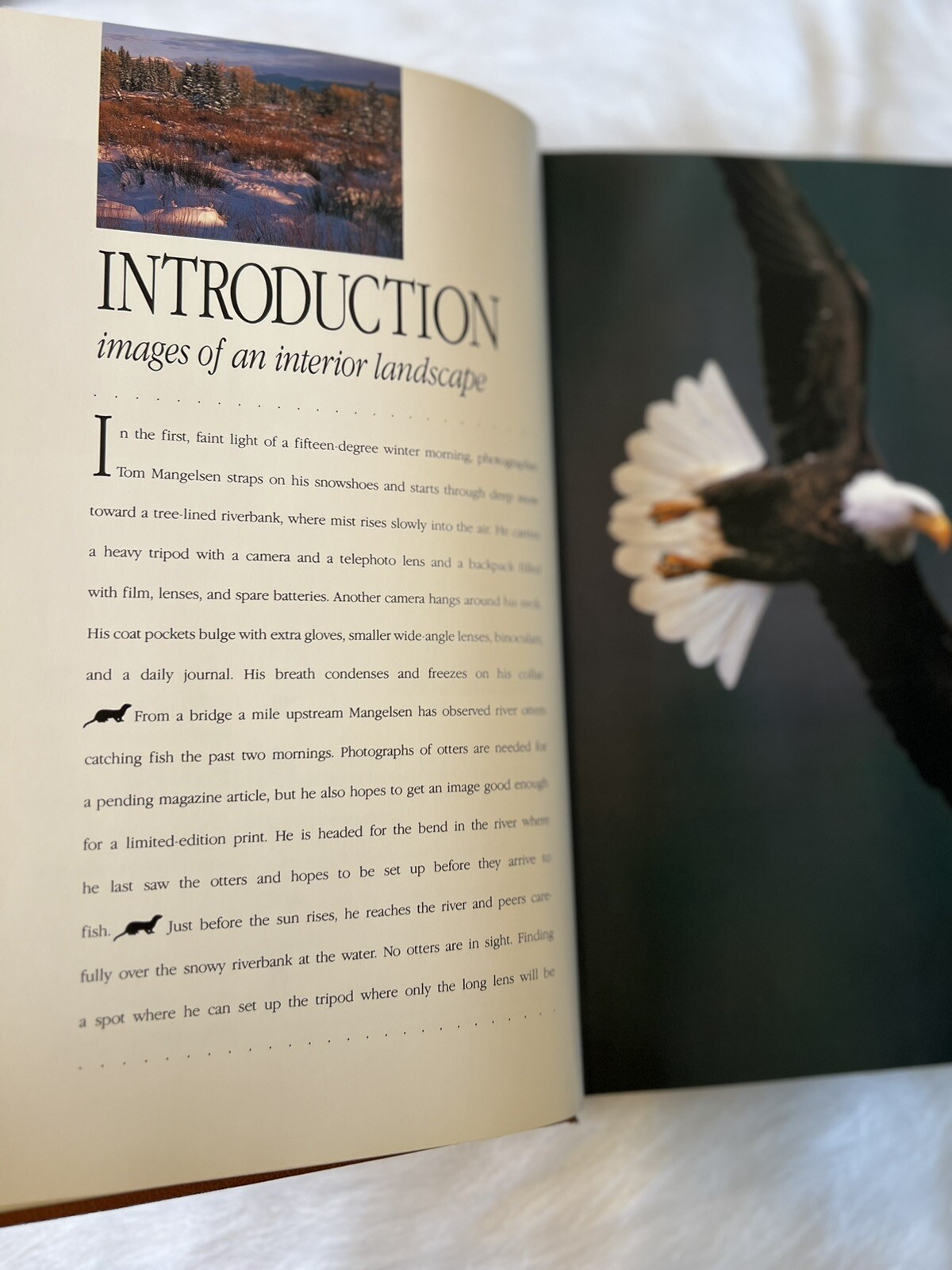 Rare -Special Edition 390/1000: Images of Nature – Signed by Thomas D. Mangelsen