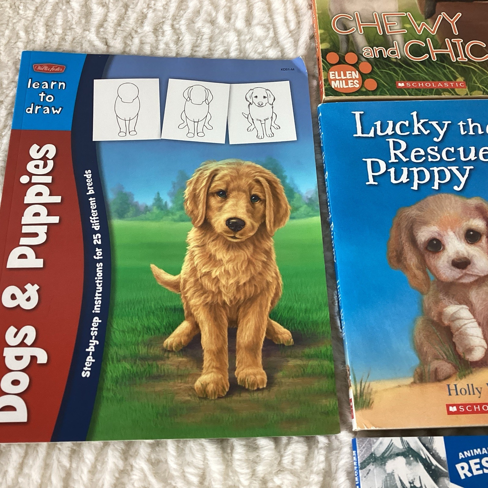 Dog Books Easy Kids Chapter Stories Puppy Place & More Ages 6-9 Lot of 16 + Draw