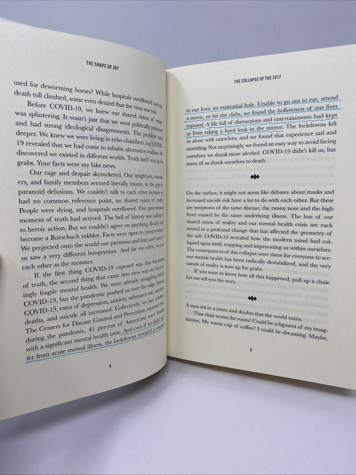 Shape of Joy Richard Beck Hardcover 2024 Spiritual Growth Broadleaf