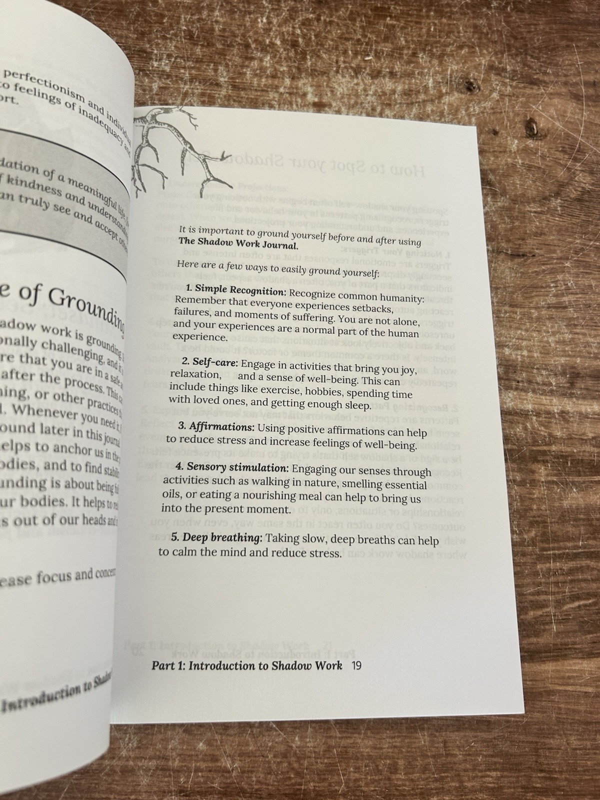 The Shadow Work Journal A Guide to Integrate and Transcend your Shadows VG