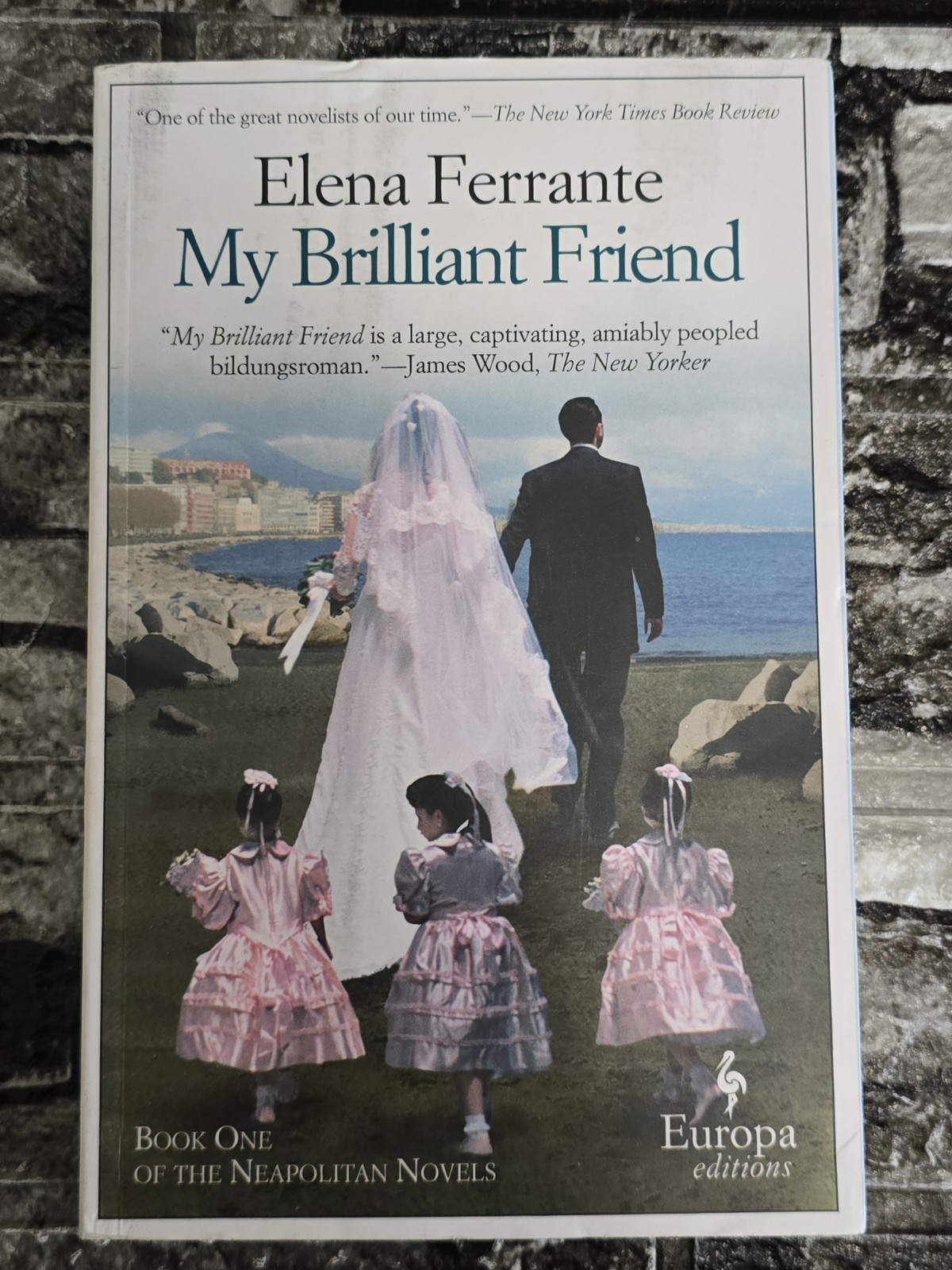 Elena Ferrante Lot Neapolitan Novels Complete Series Set 4 Books Europa 1-4