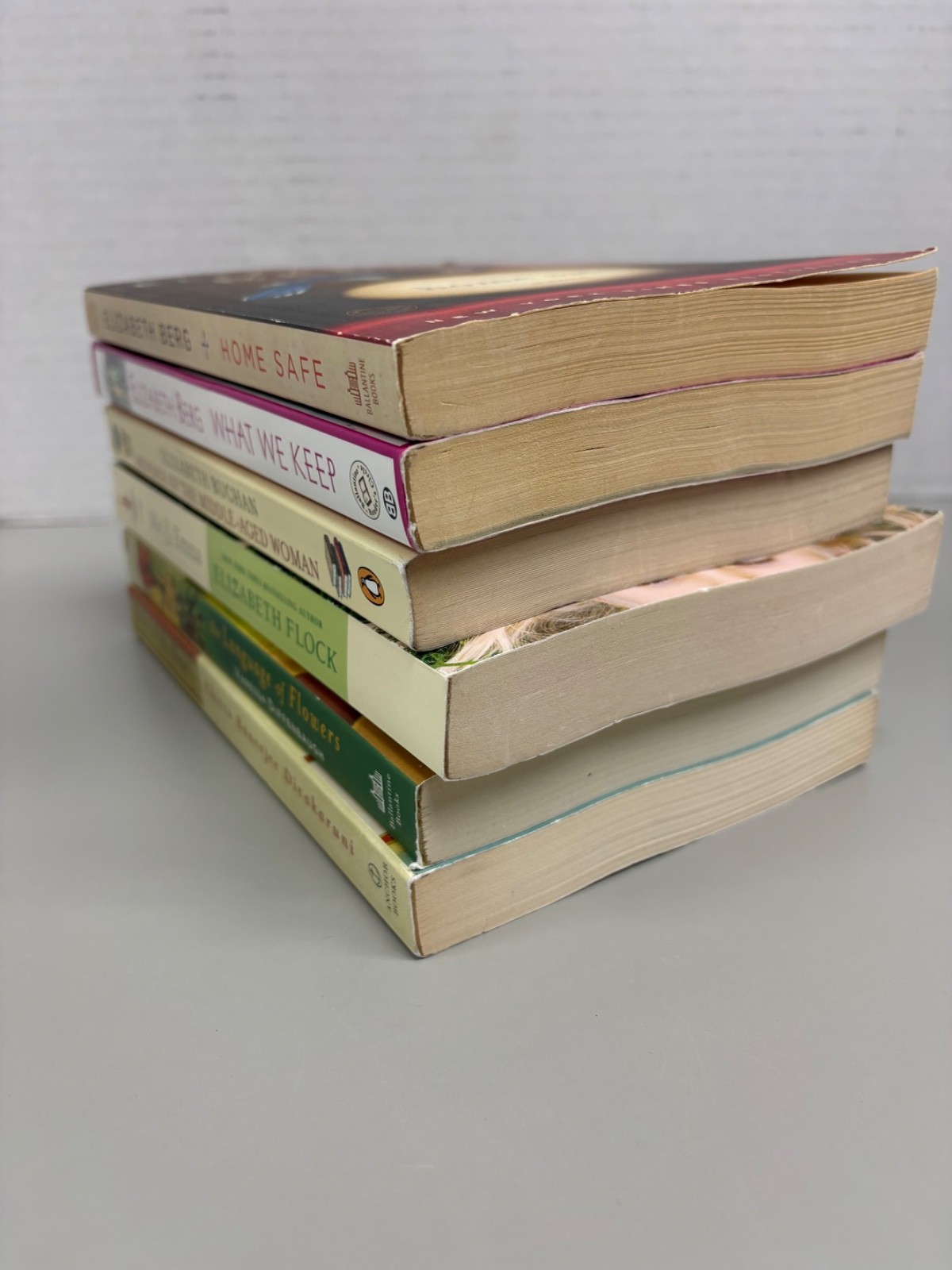 Contemporary Fiction Lot of 6 Trade Paperbacks (See Photos for Titles)