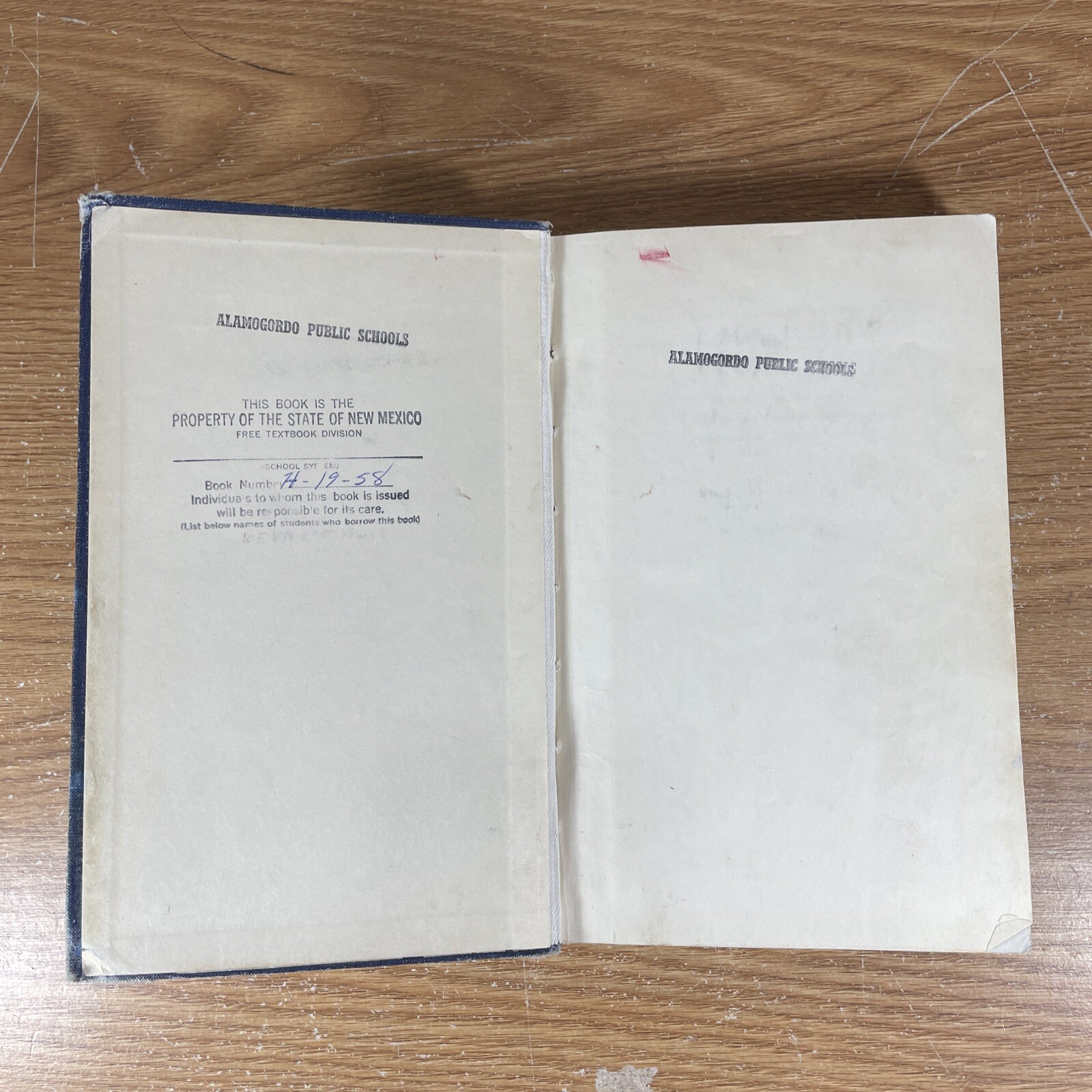 Vintage 1955 The Story of American Freedom – Edna Mcguire – Macmillan Company