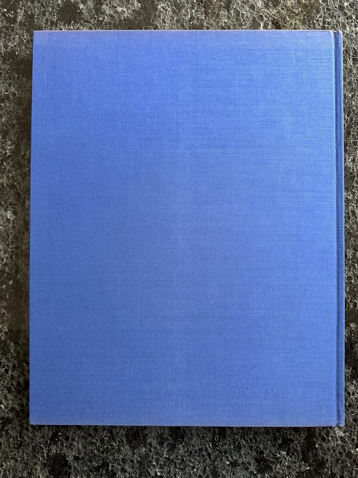 Robert Mapplethorpe Certain People by Susan Sontag 1985 Hardcover