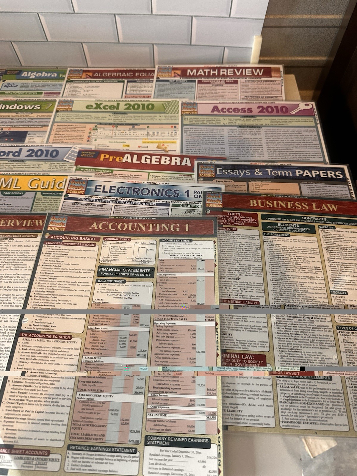 Lot of 18 Laminated Study Guides QuickStudy & SparkCharts