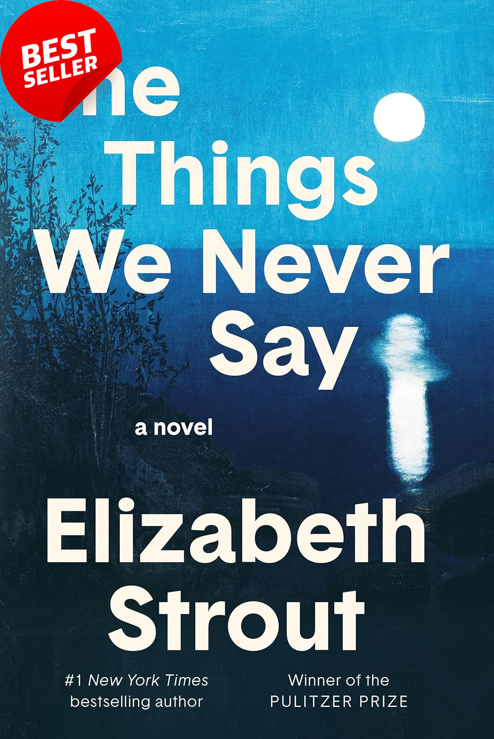 The Things We Never Say: a Novel