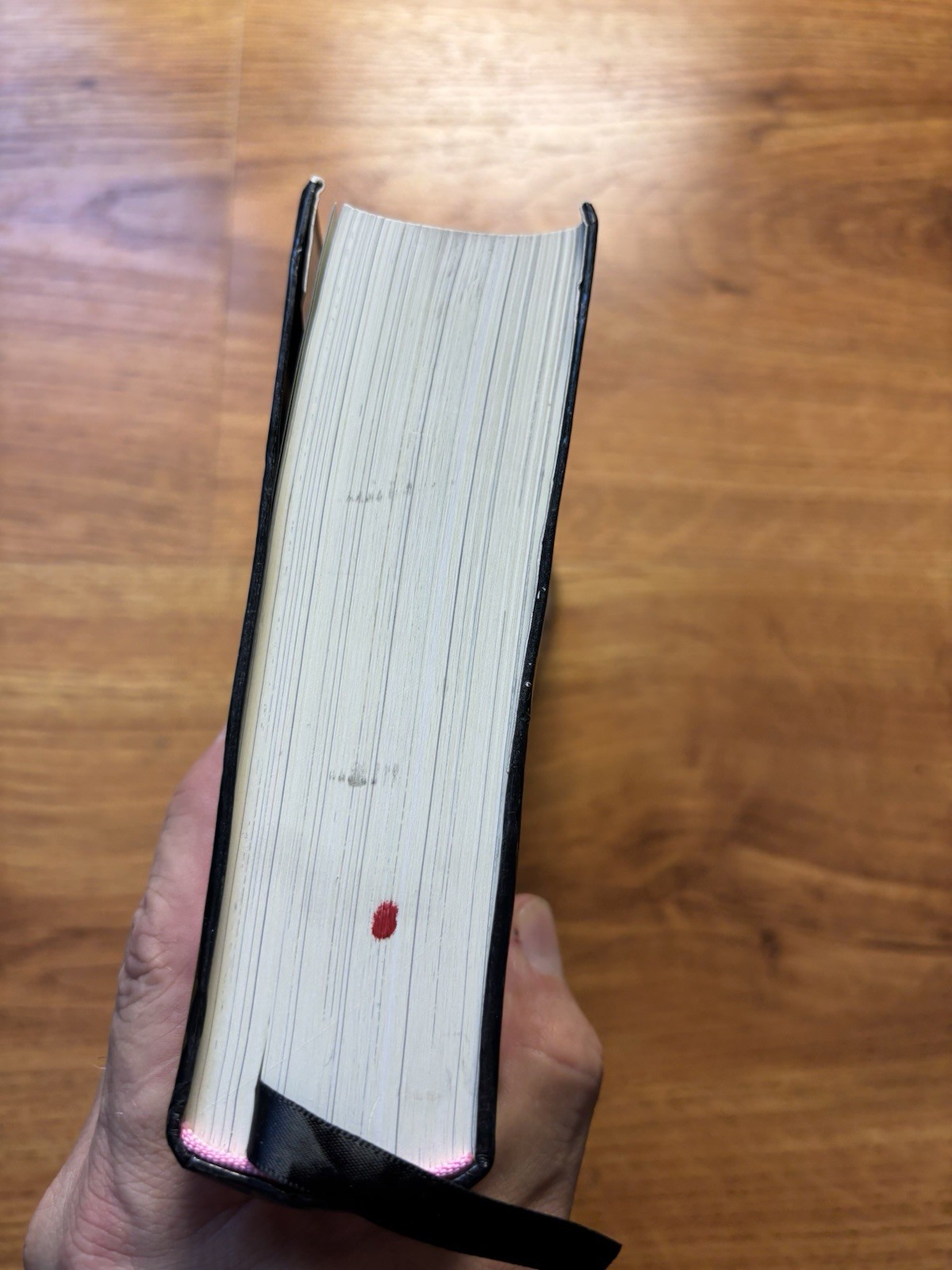 The Familiar, Volume 1: One Rainy Day in May/Mark Z. Danielewski/VERY GOOD FLEXI