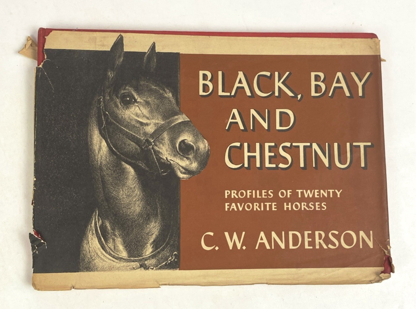 Black, Bay and Chestnut: Profiles of Twenty-Favorite Horses by C.W Anderson 1939