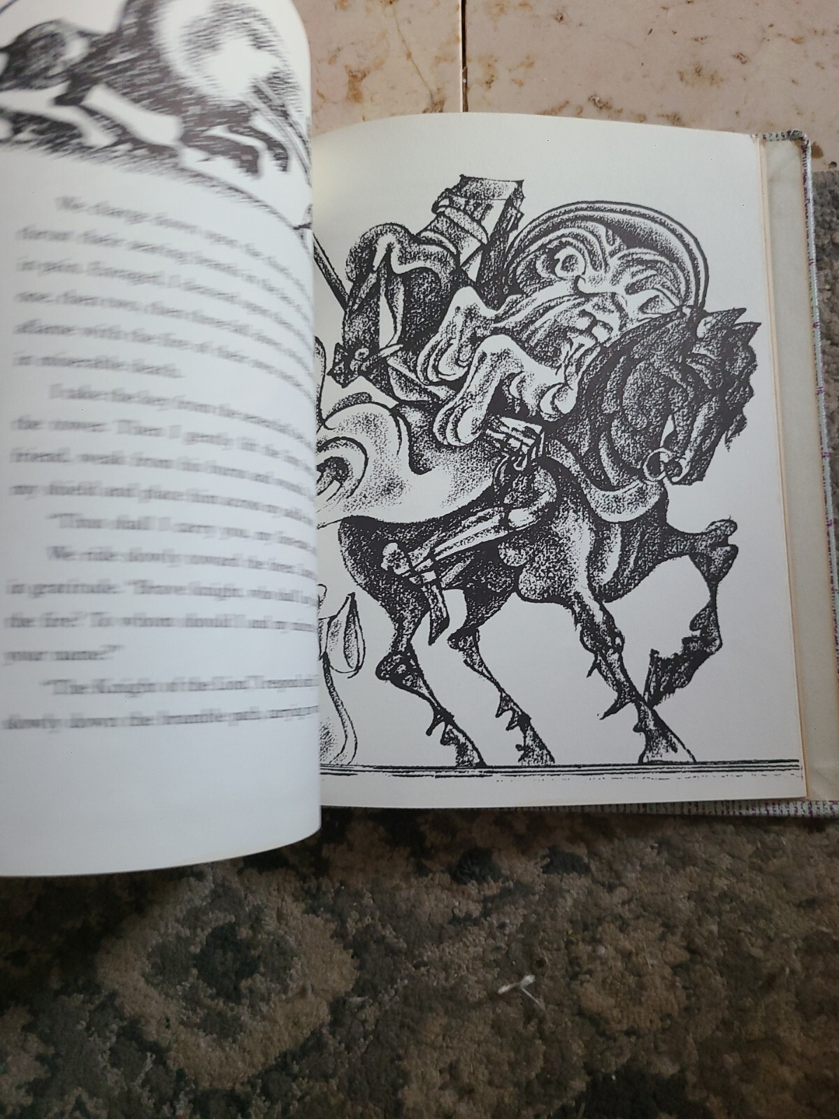 The Knight Of The Lion Gerald McDermott Four Winds Press 1979 First Ed HC VTG!