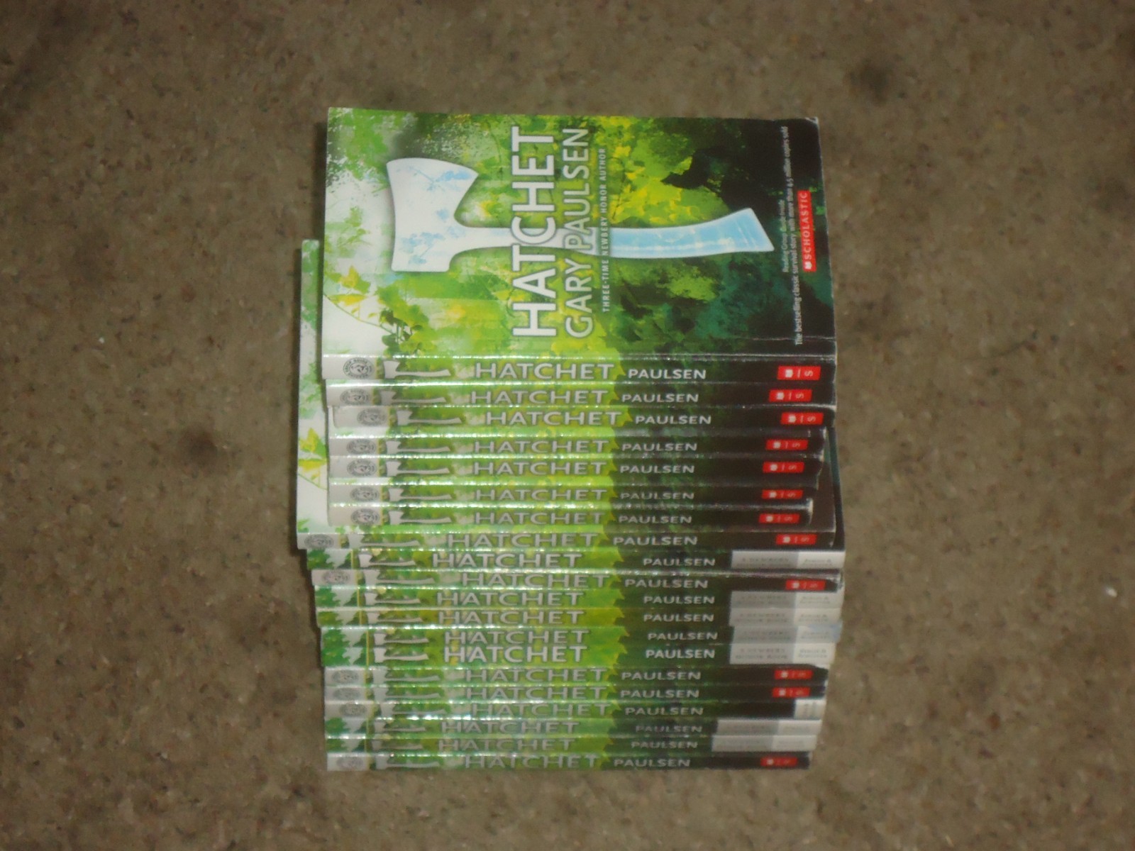 Lot 20 Hatchet Books Teacher Class Set Gary Paulsen Guided Reading