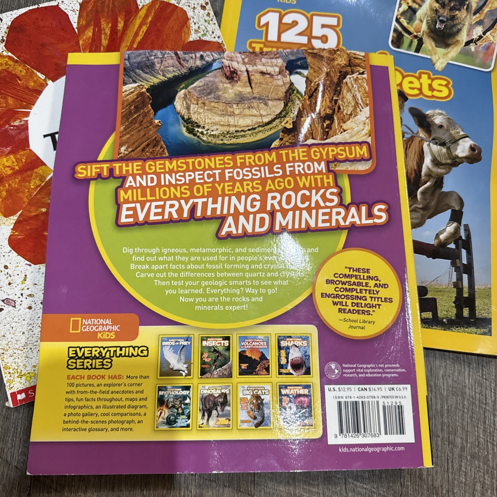 Lot of 5 Children’s Books From 2010s Learning and Fun to Read Paper/Hard Cover