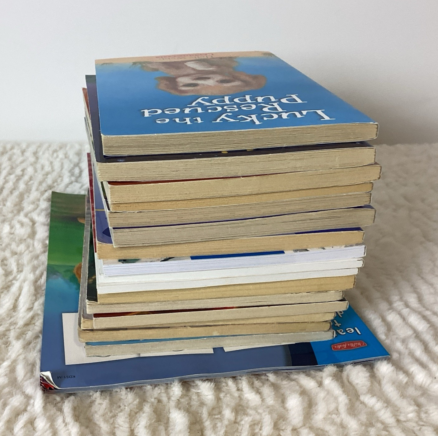 Dog Books Easy Kids Chapter Stories Puppy Place & More Ages 6-9 Lot of 16 + Draw