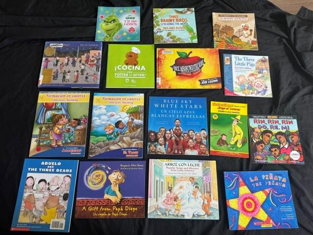 16 SPANISH BILINGUAL CHILDREN PICTURE BOOK LOT teacher set kids K 1 2 Award