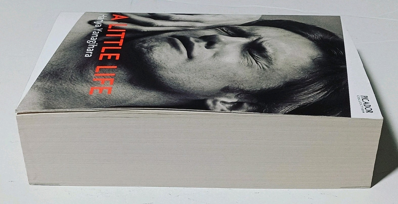 A Little Life by Hanya Yanagihara (Paperback, 2015)