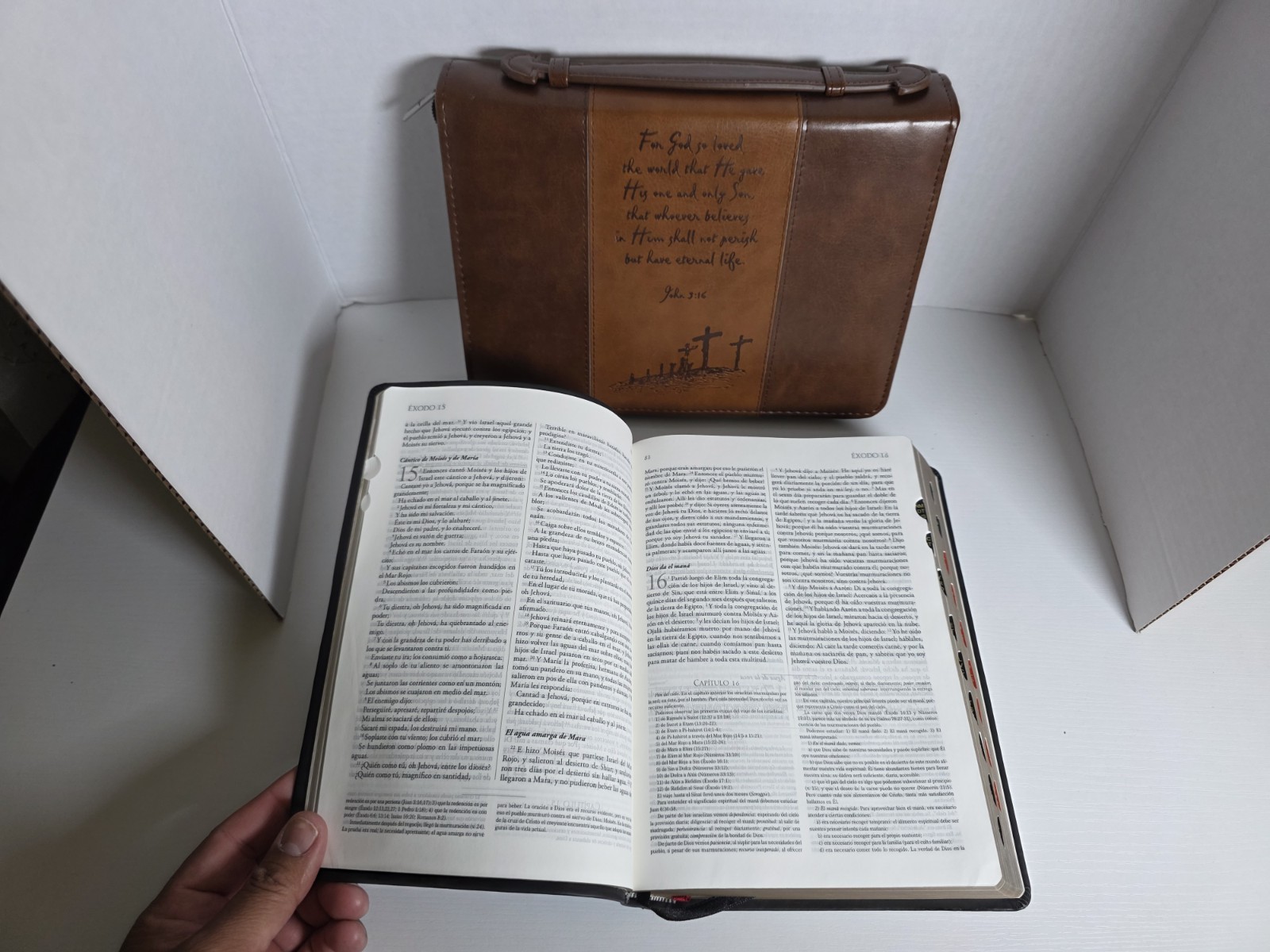 BIBLIA DE ESTUDIO EXPLICADA RVR 1960, Piel Especial Negro Con Indice