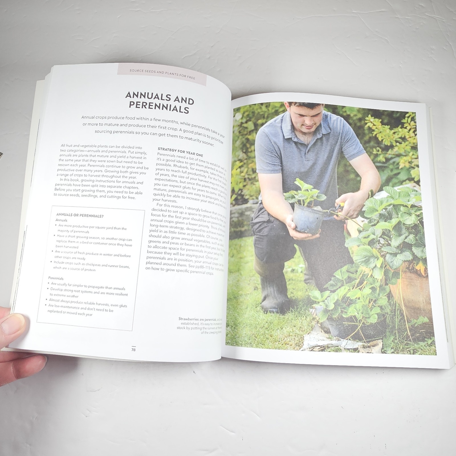 Grow Food For Free: The Sustainable, Zero-Cost, Low-Effort Way by Huw Richards