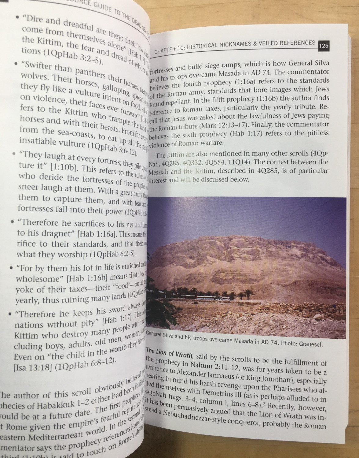 Holman QuickSource Guide to the Dead Sea Scrolls – Paperback – VERY GOOD