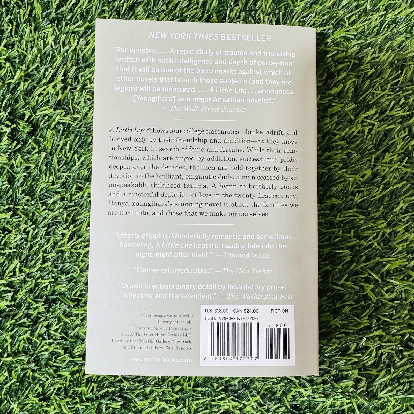 Little Life by Hanya Yanagihara (2016, Trade Paperback)