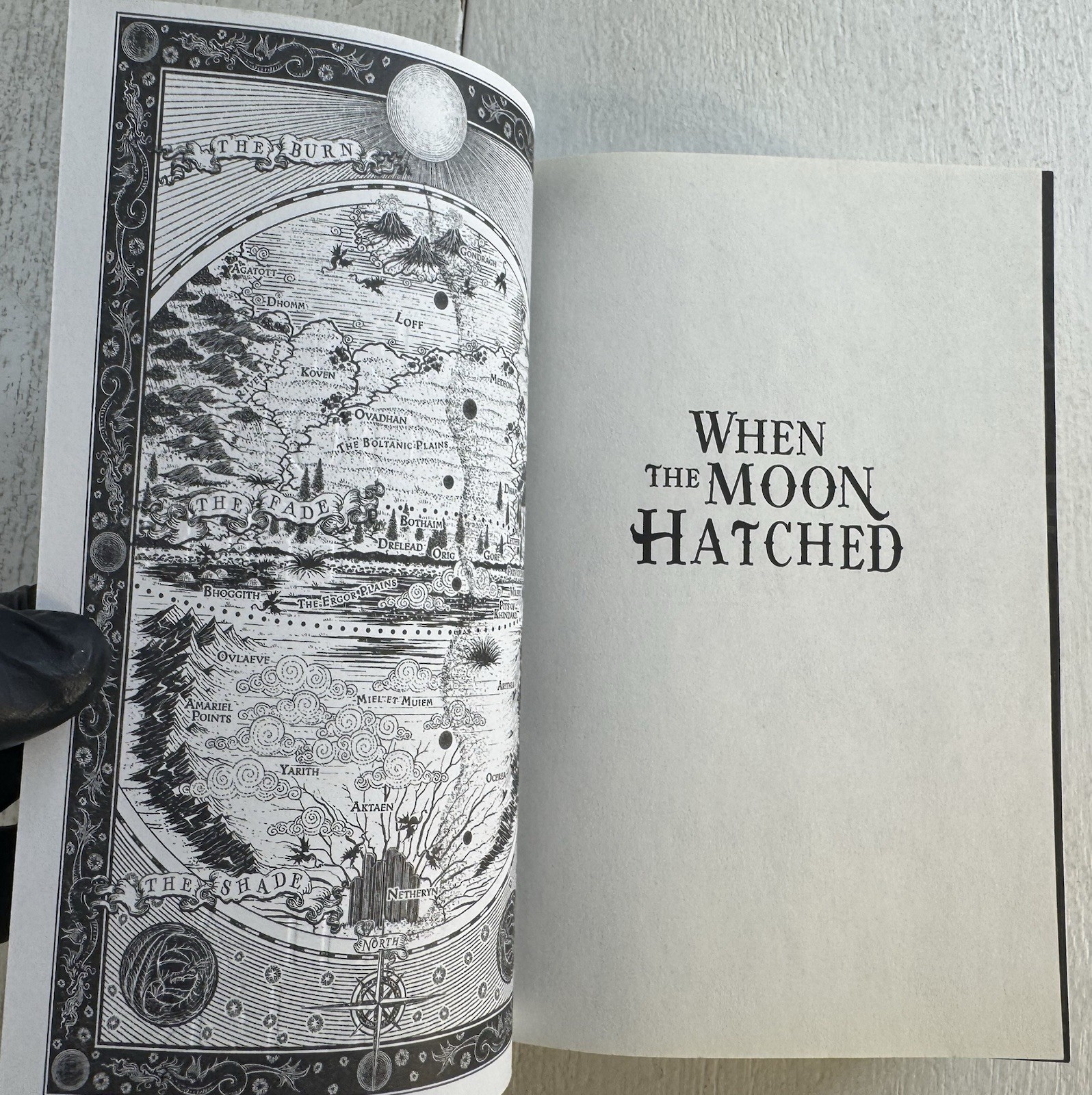 When the Moon Hatched – Sarah A. Parker (2024 Trade PB Book) 1st Printing – LN
