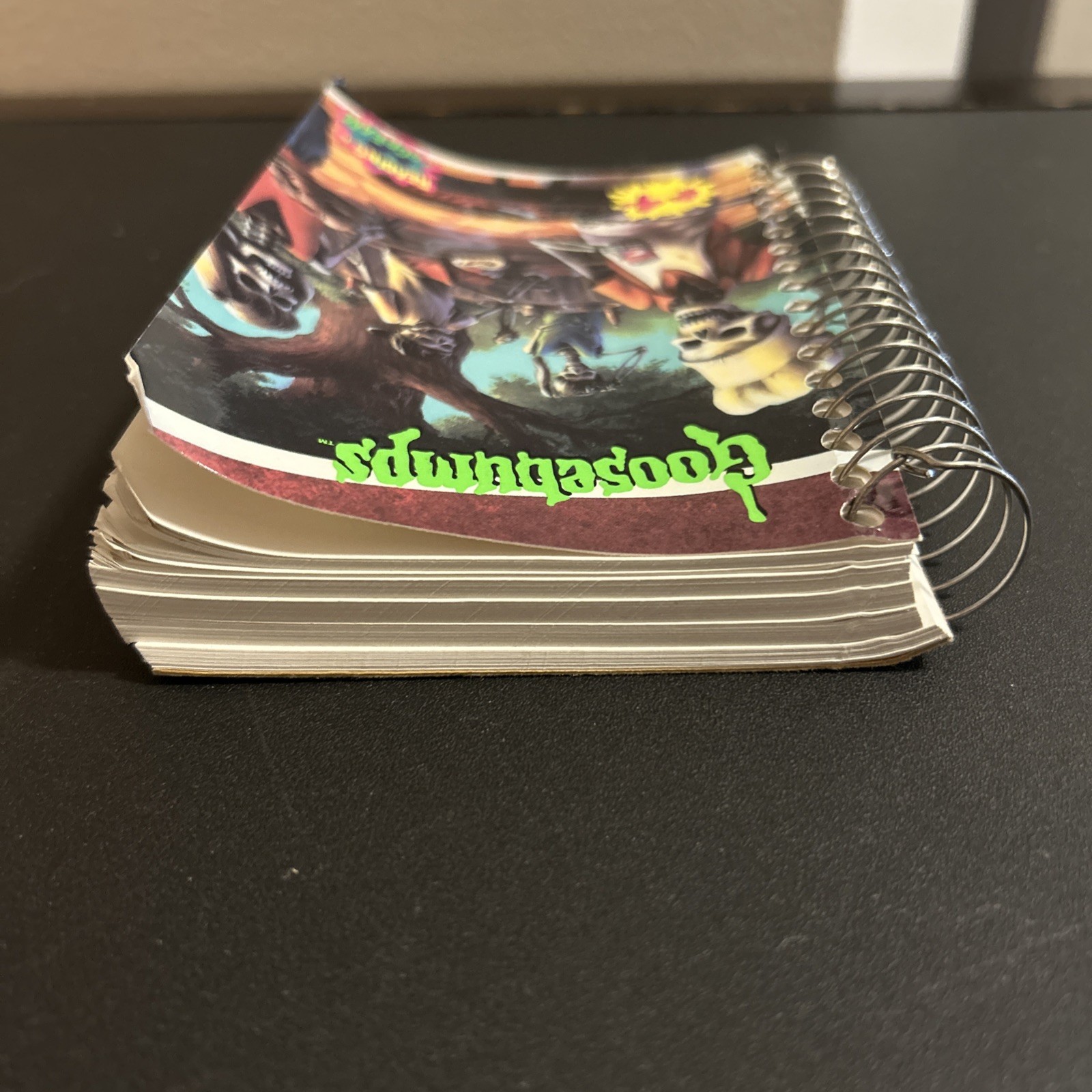 Vintage Goosebumps Mini Notebook Say Cheese And Die Rare. #4. 174/180 Pages Used