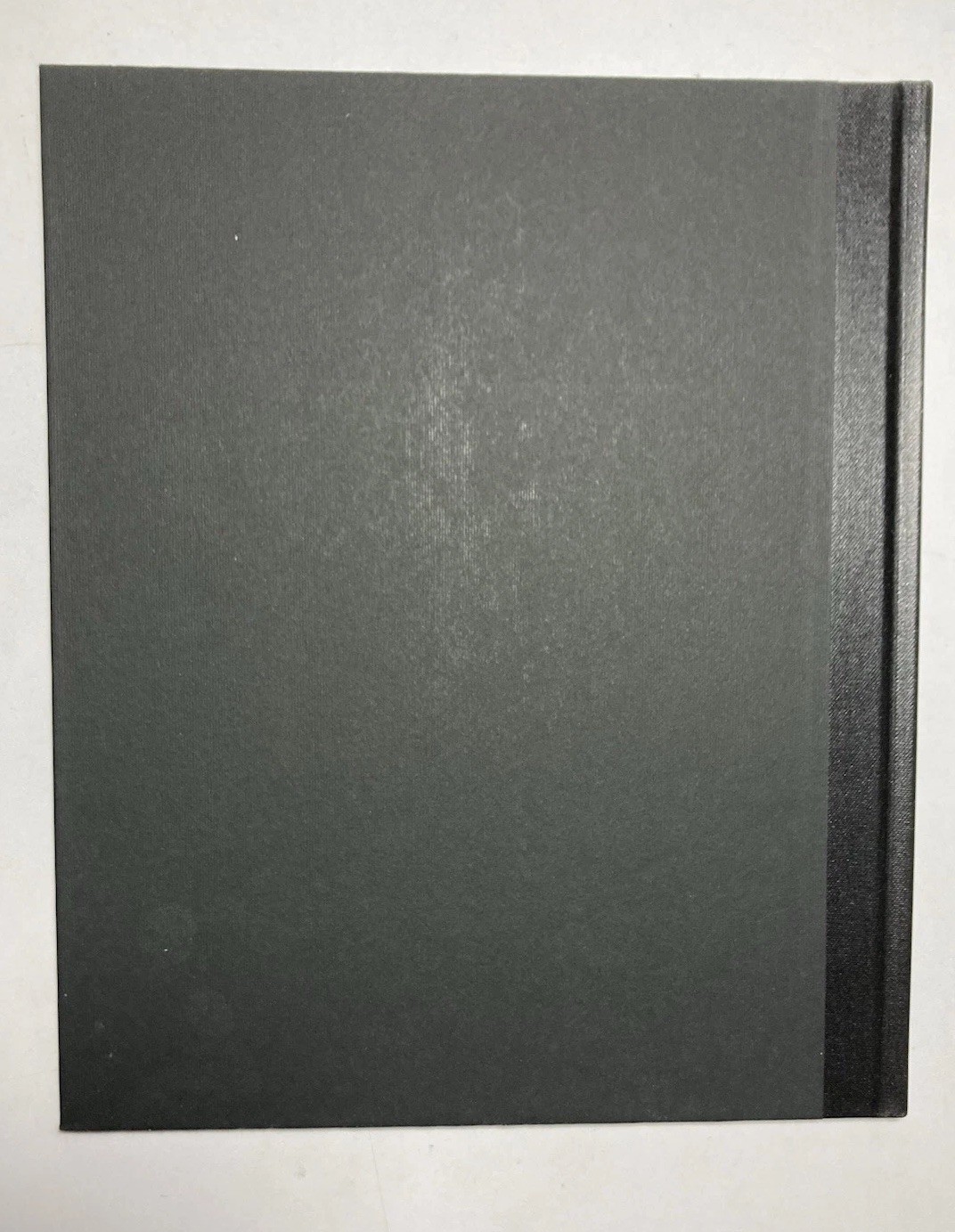 WILLIAM WEGMAN Lot of 2 First Edition Hardcovers: “CINDERELLA” & “PUPPIES”