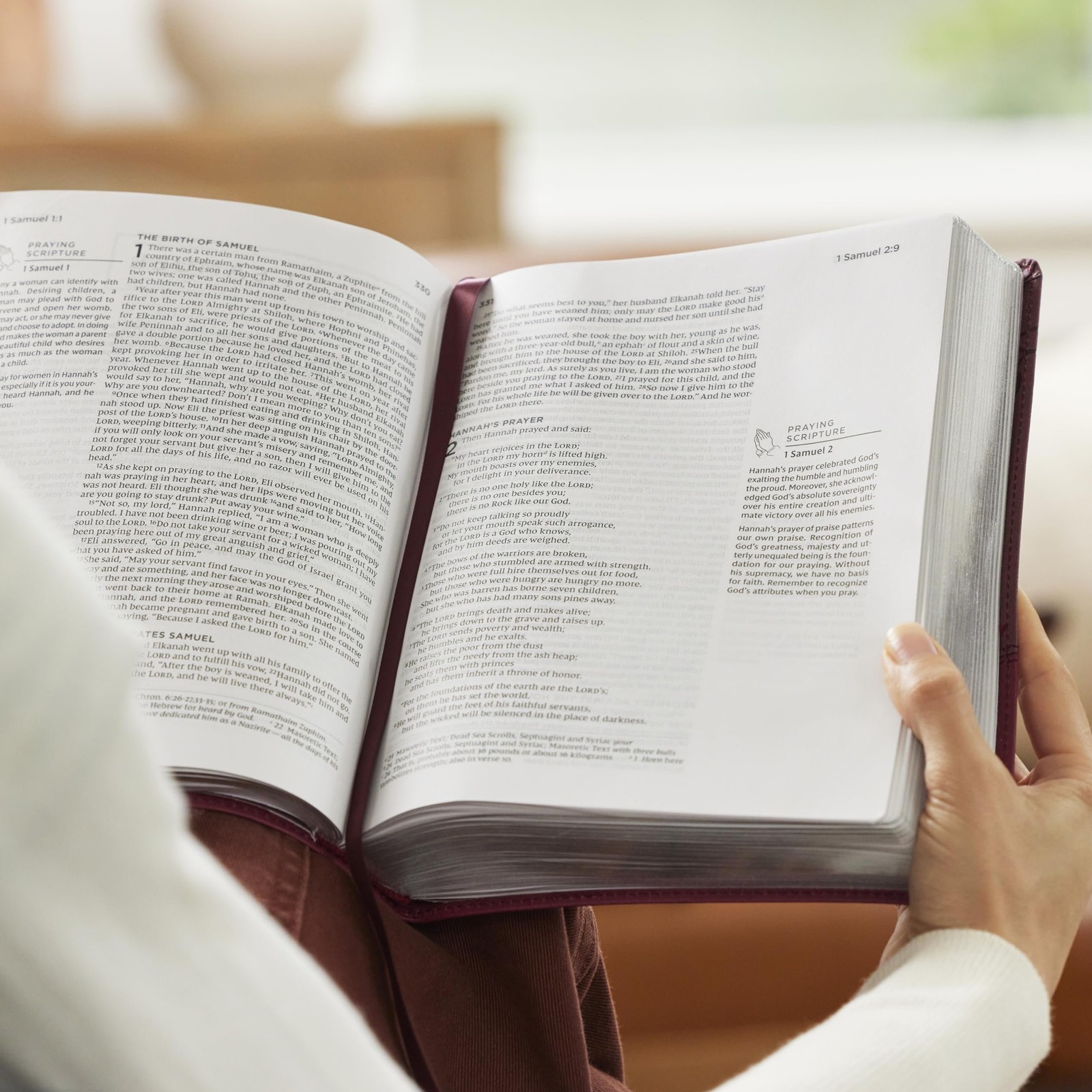 The Prayer Bible: Pray God’s Word Cover to Cover (NIV, Burgundy Leathersoft,…